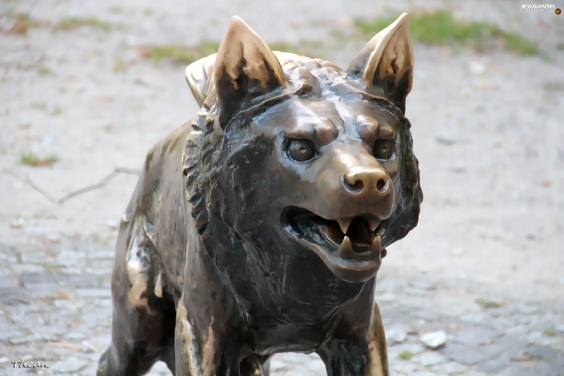 Wolf, old Zoo, Poznań, sculpture