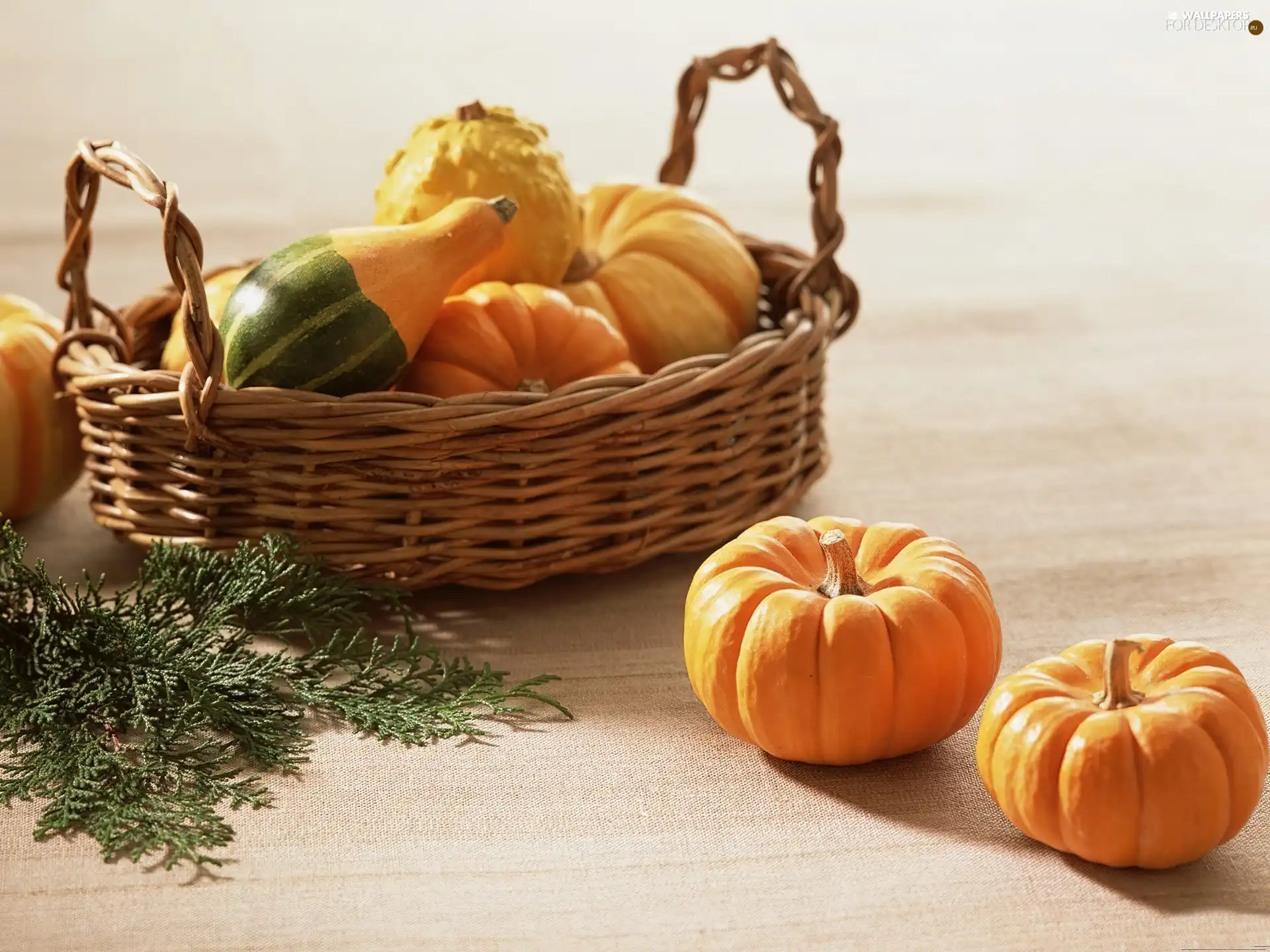 basket, pumpkin
