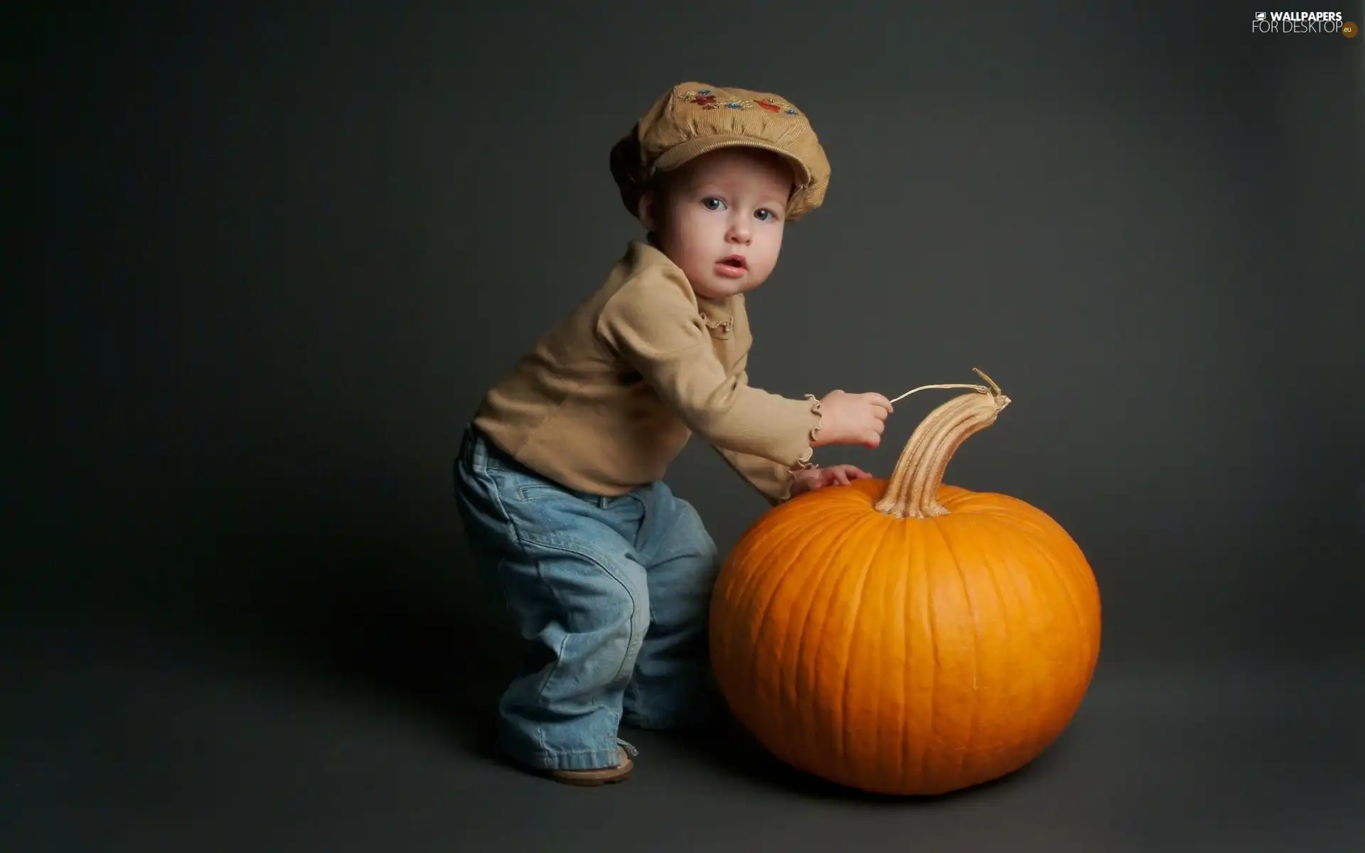 boy, pumpkin