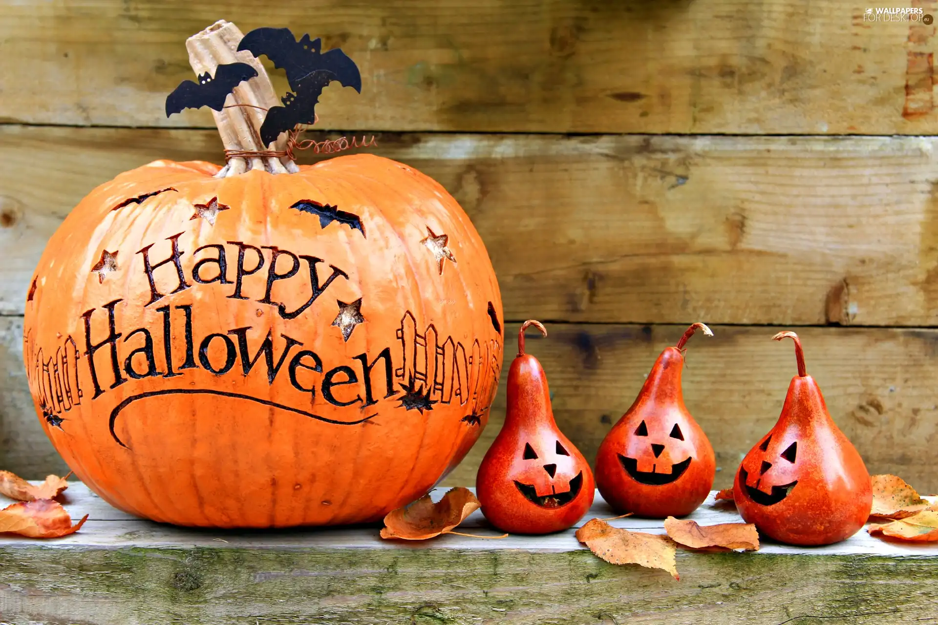 bats, halloween, Leaf, boarding, truck concrete mixer, pumpkin
