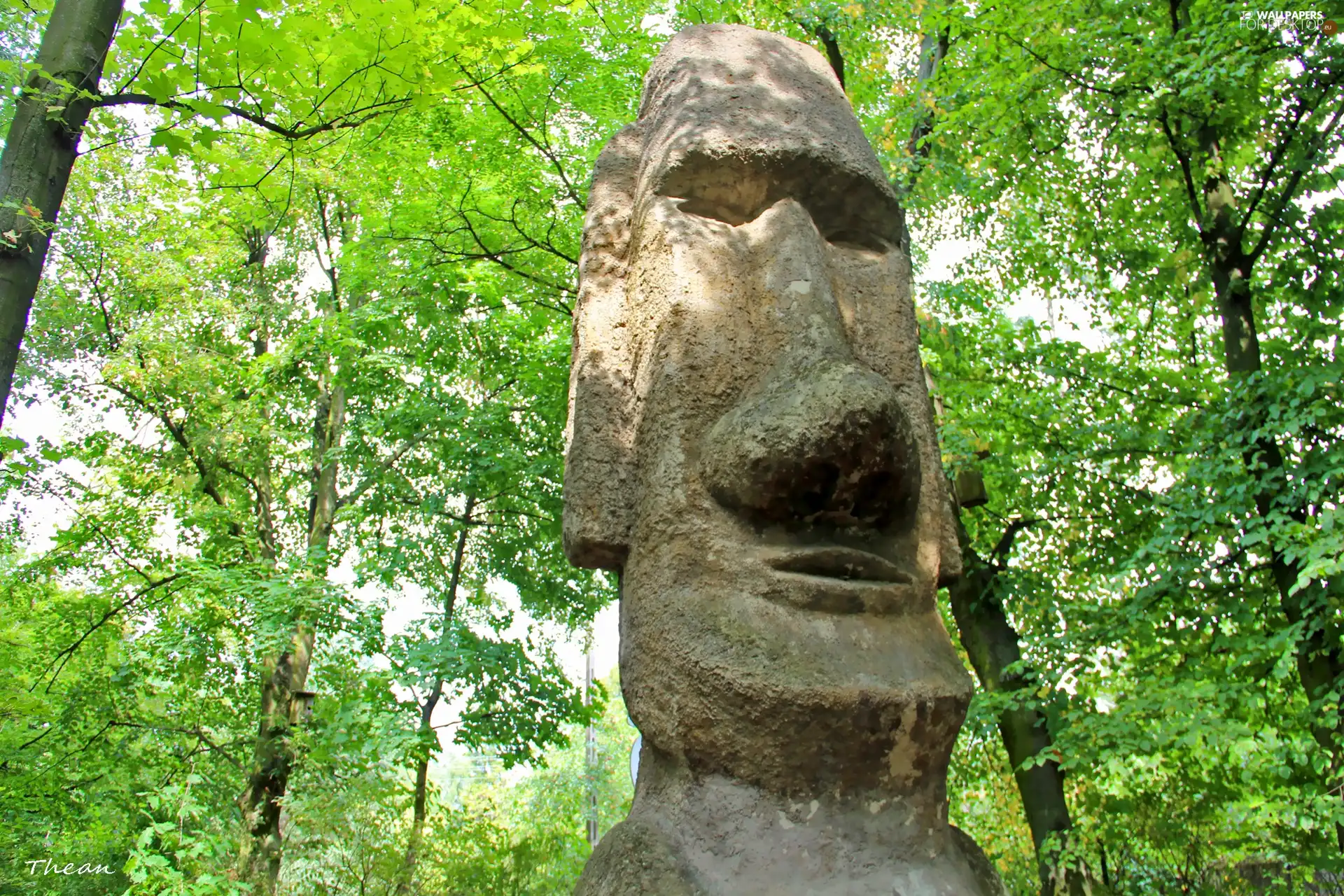 Arkady Fiedler Museum, Puszczykowo