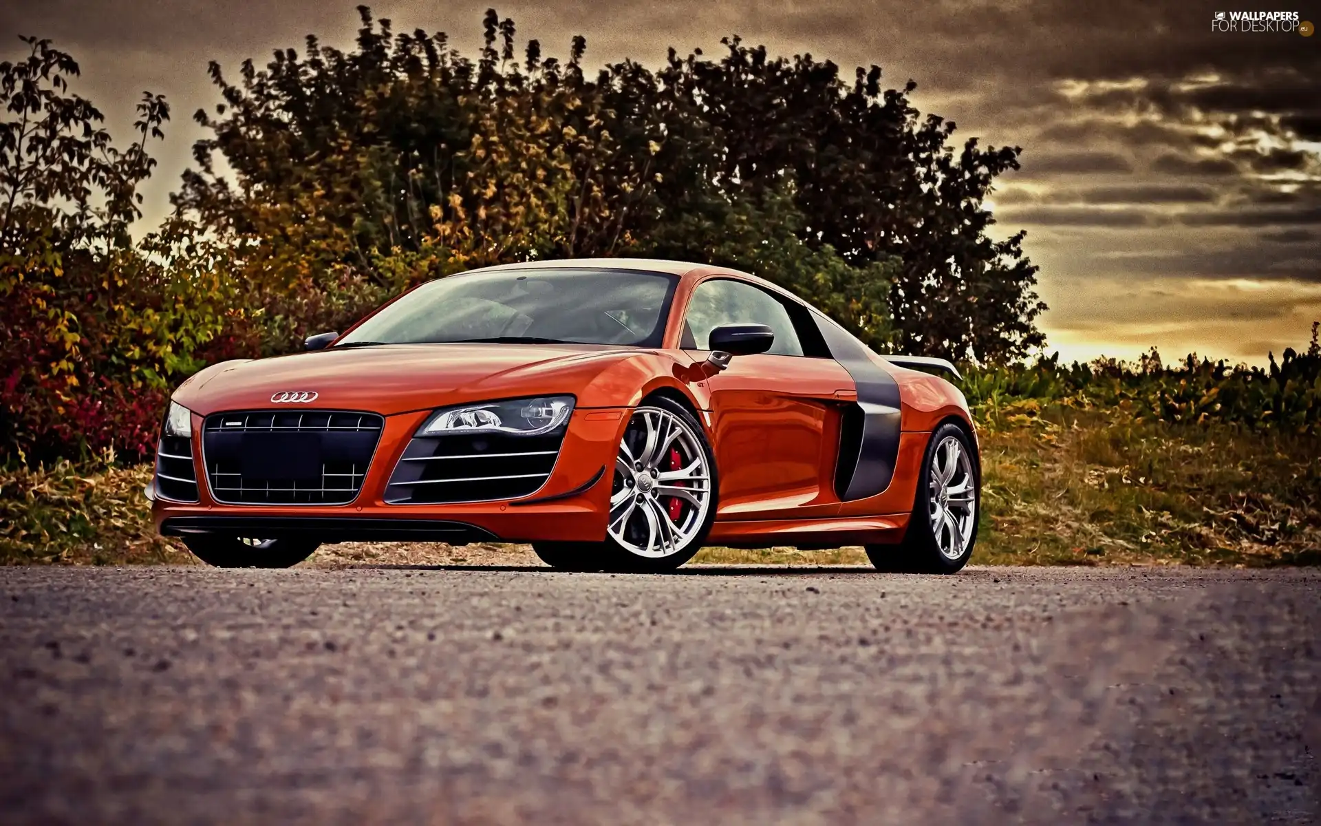 Red, Audi R8