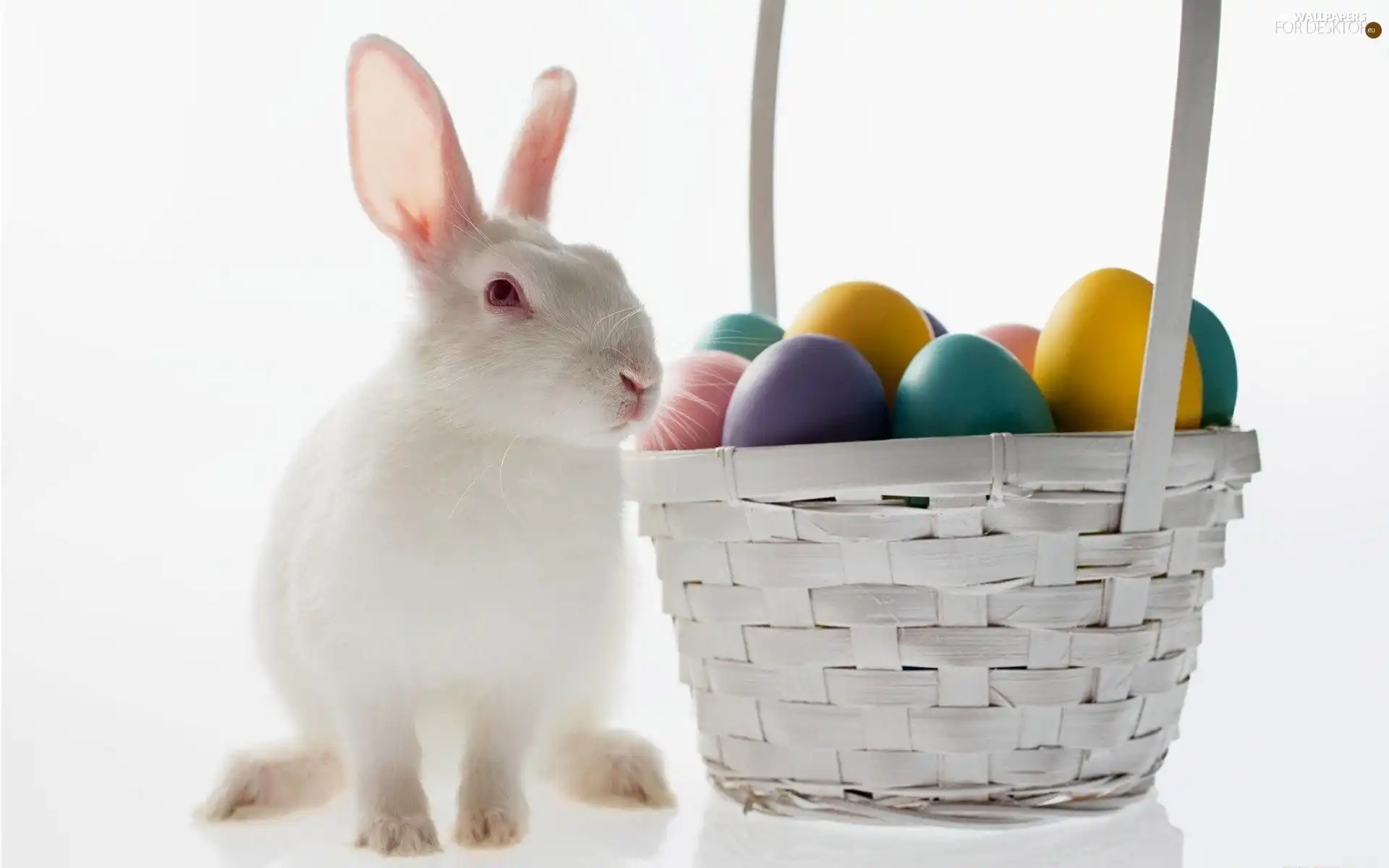 basket, eggs, Rabbit, easter