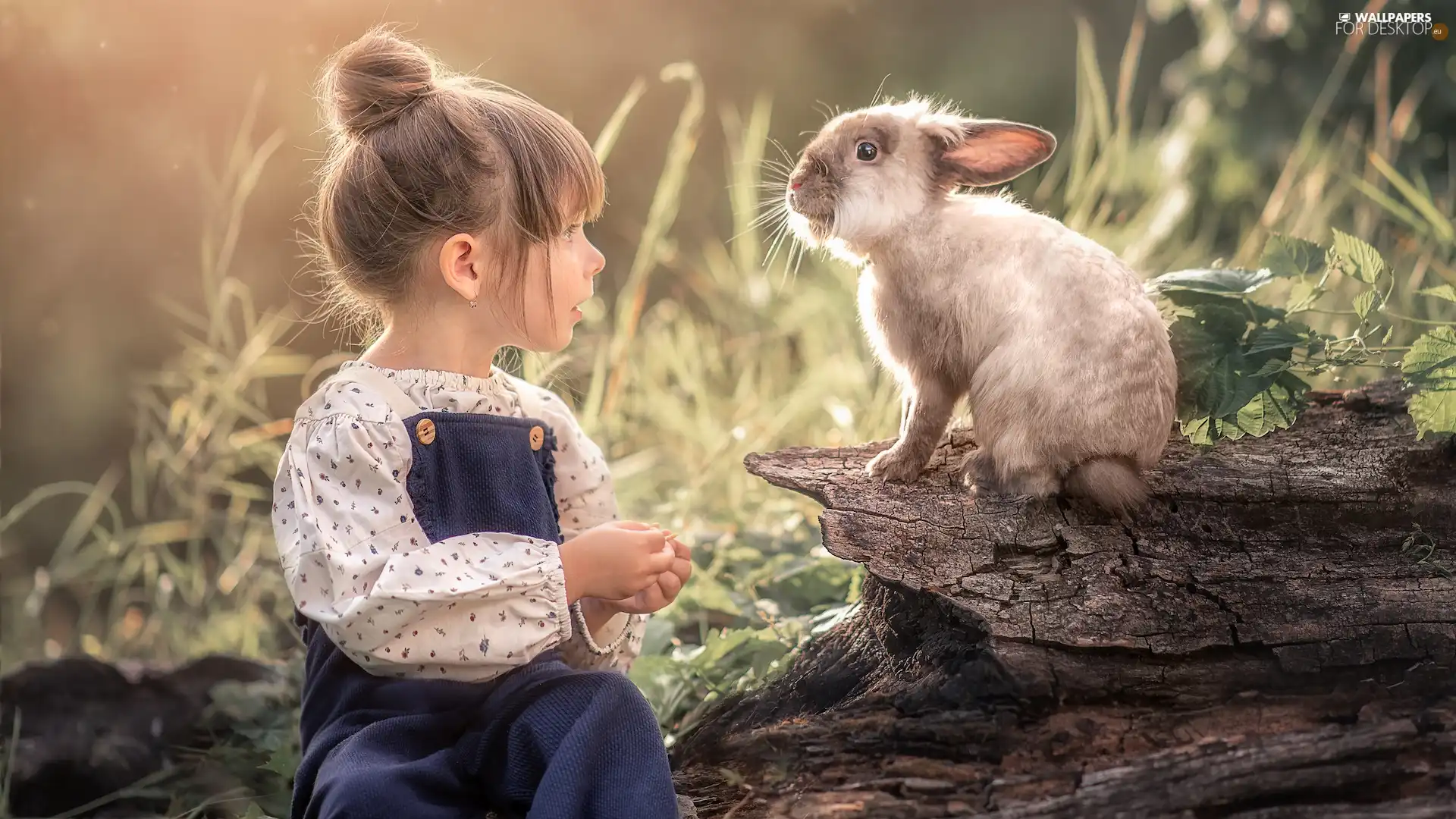 girl, trees, trunk, Rabbit