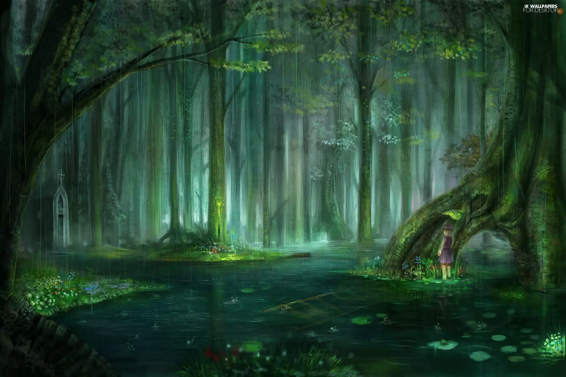 Rain, forest, water