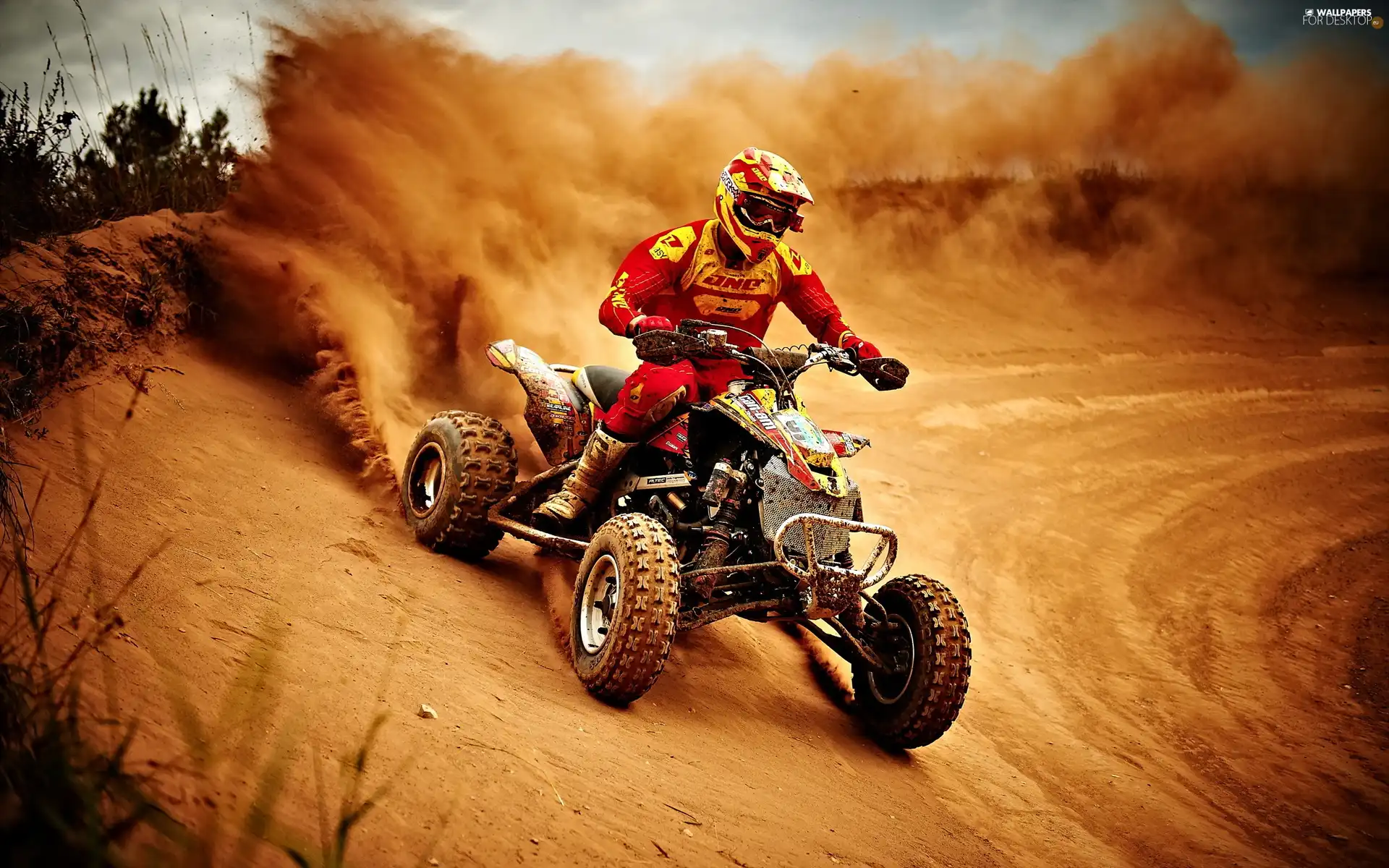 quad, rally