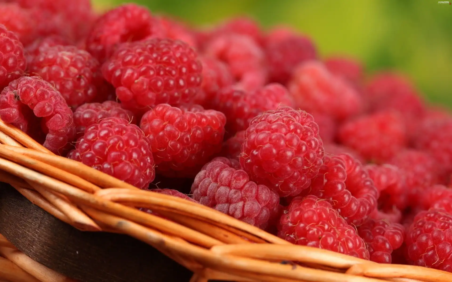 basket, Raspberries