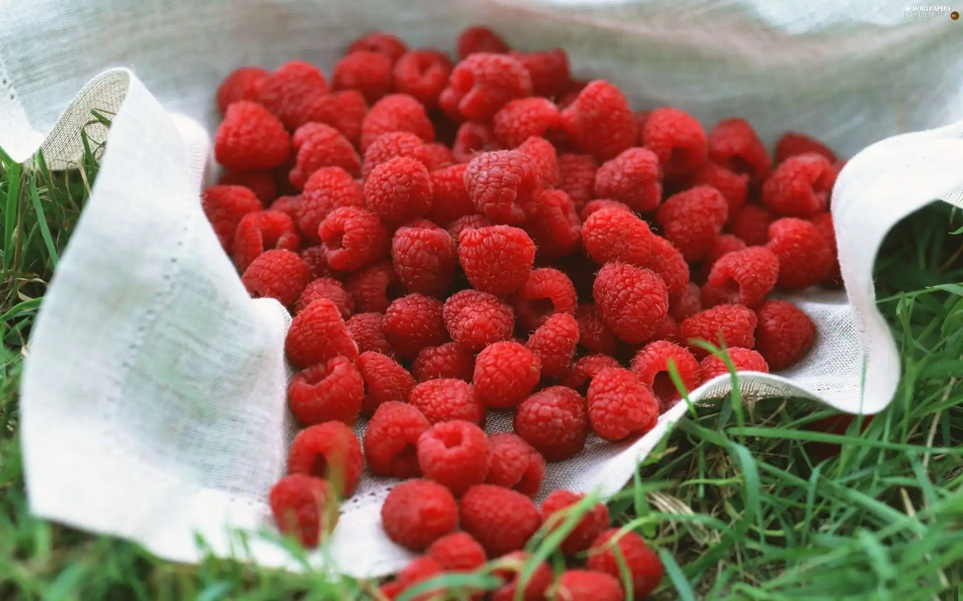 Raspberries, grass, napkin