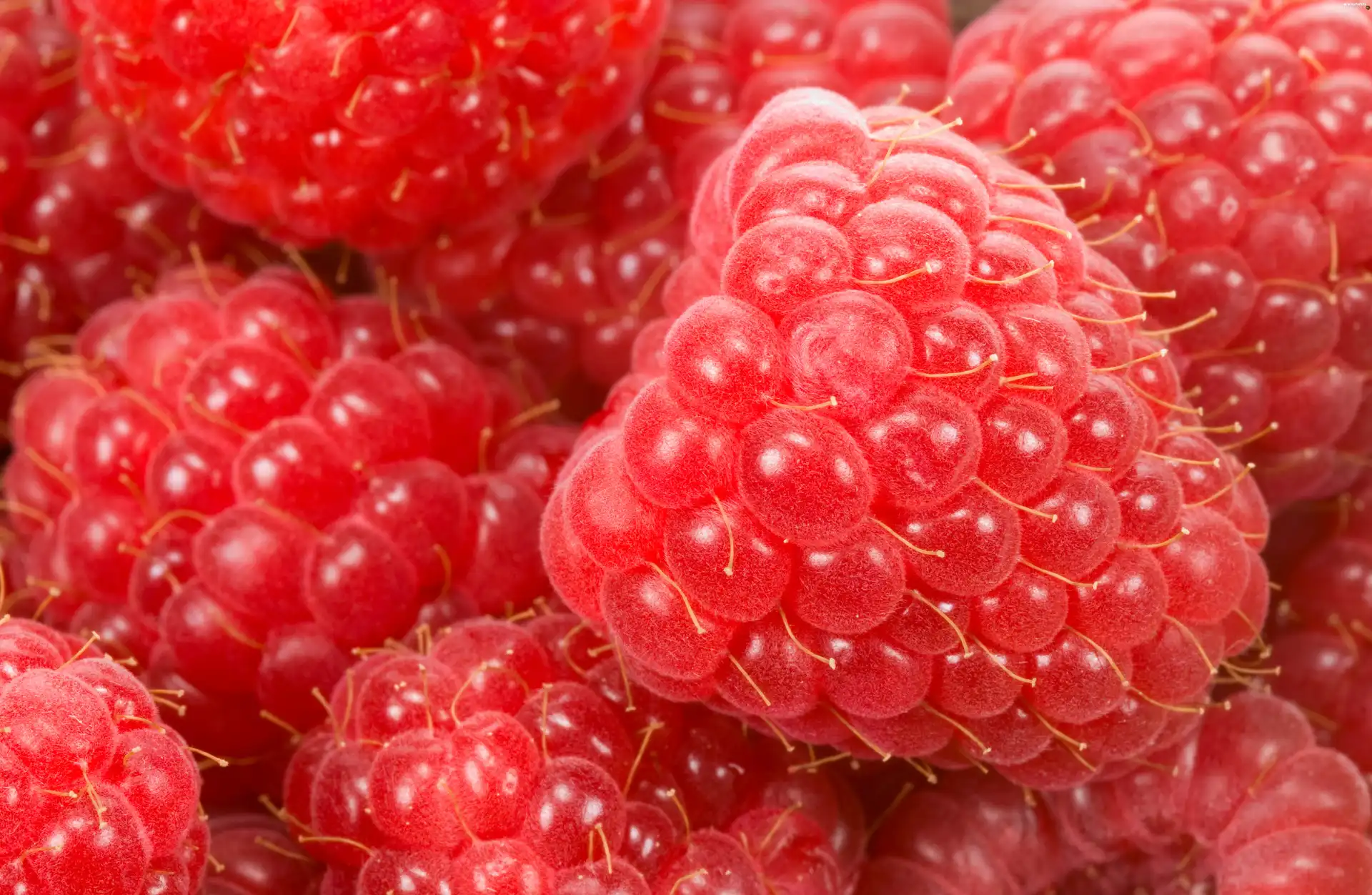 raspberries