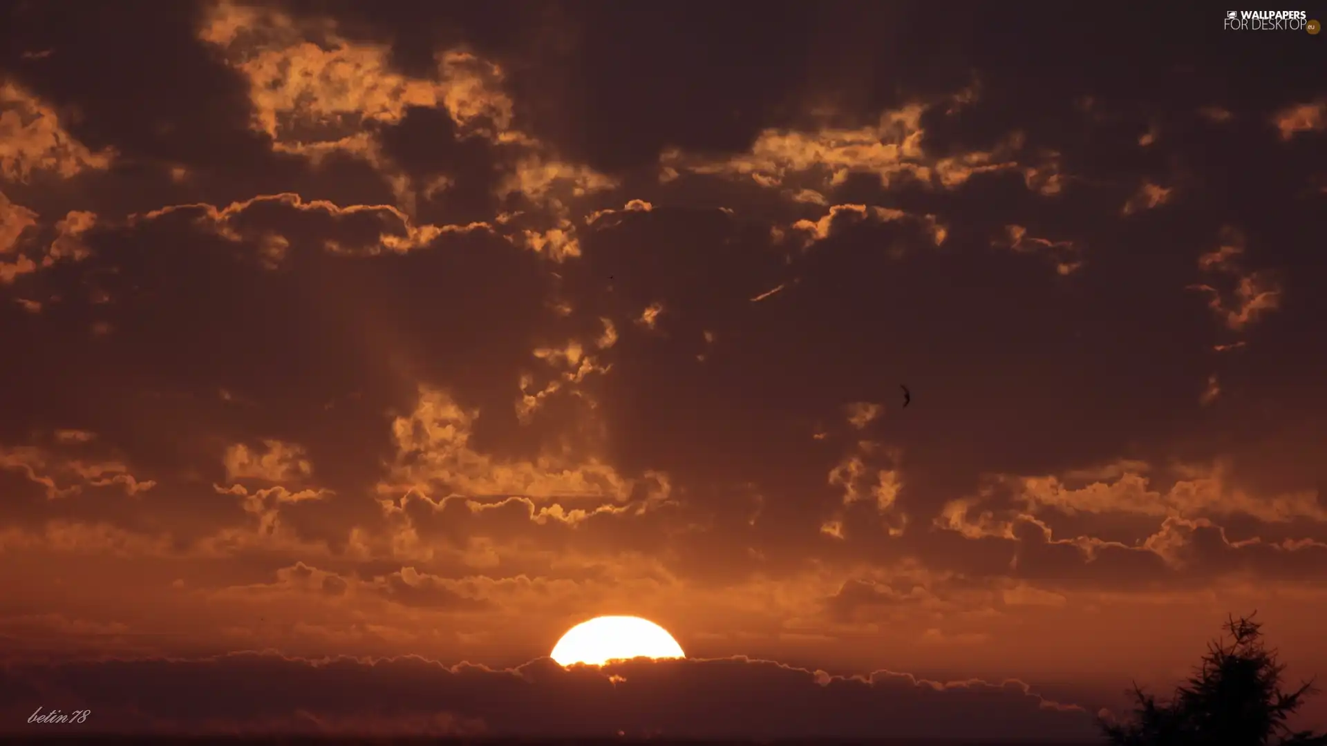 west, clouds, rays, sun