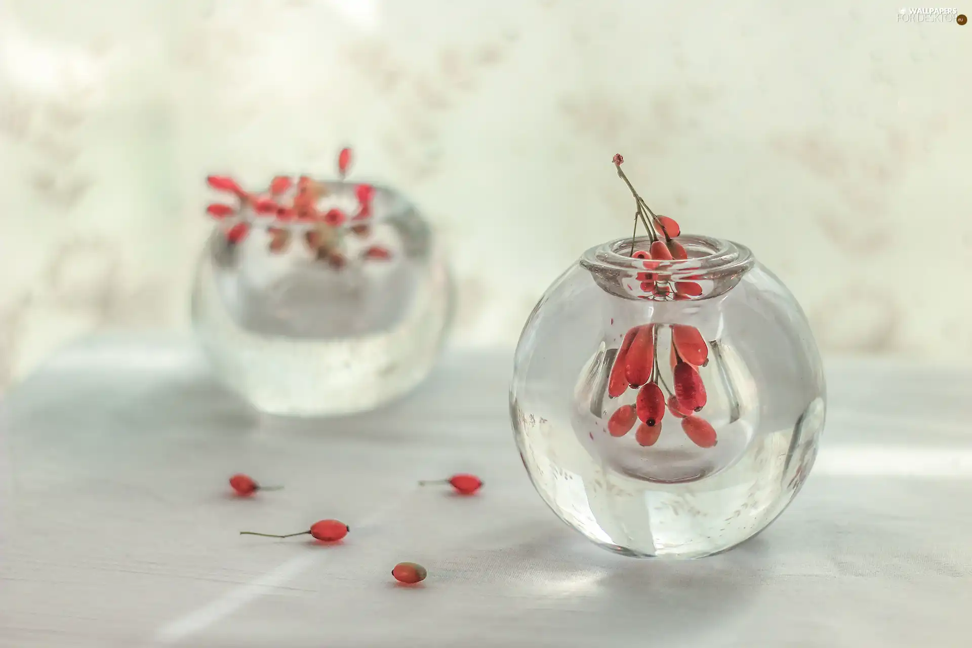 Red, vases, Fruits