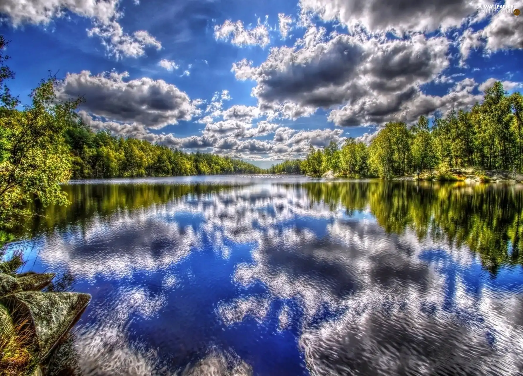 viewes, lake, reflection, clouds, forest, trees