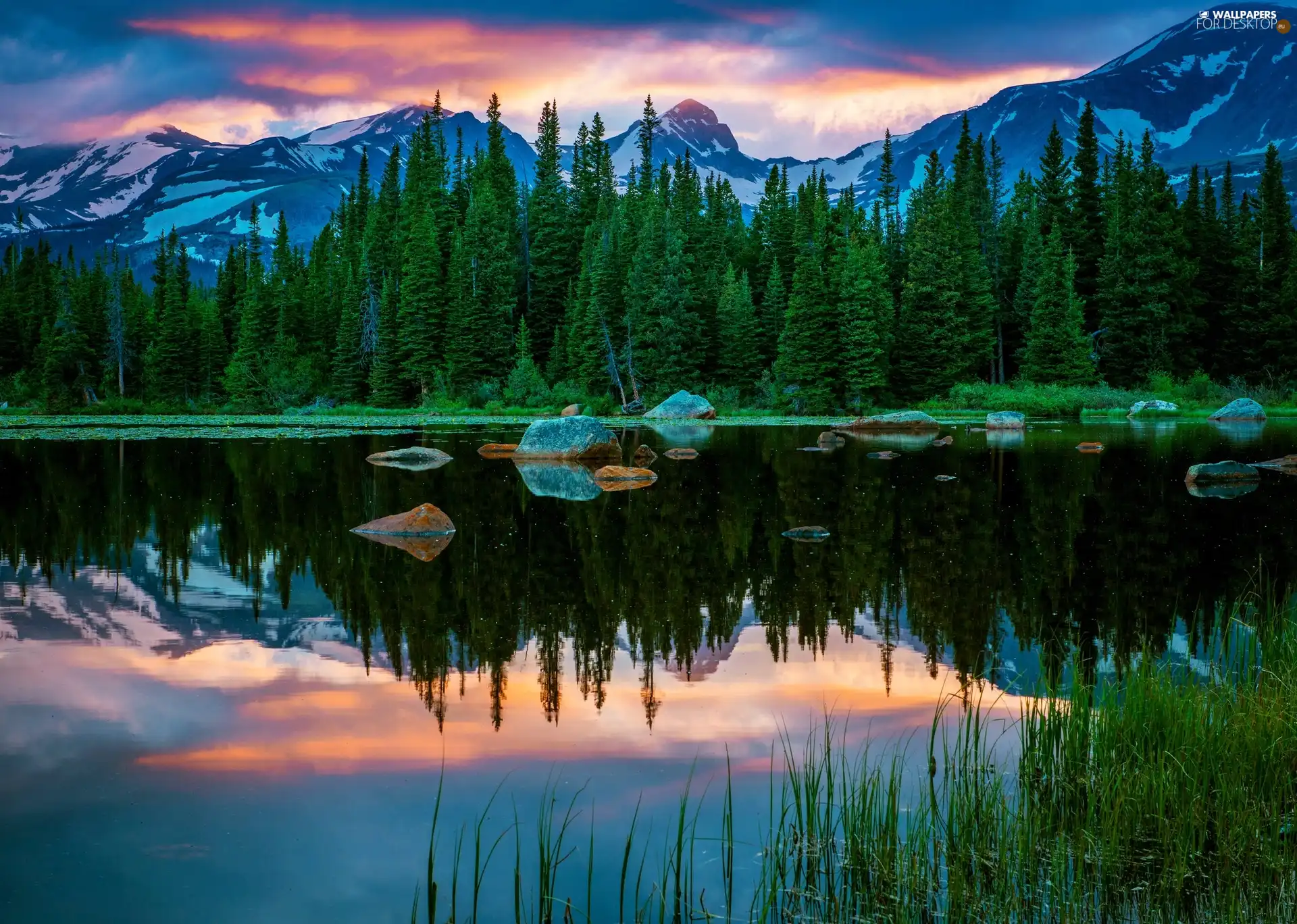 lake, Mountains, reflection, forest