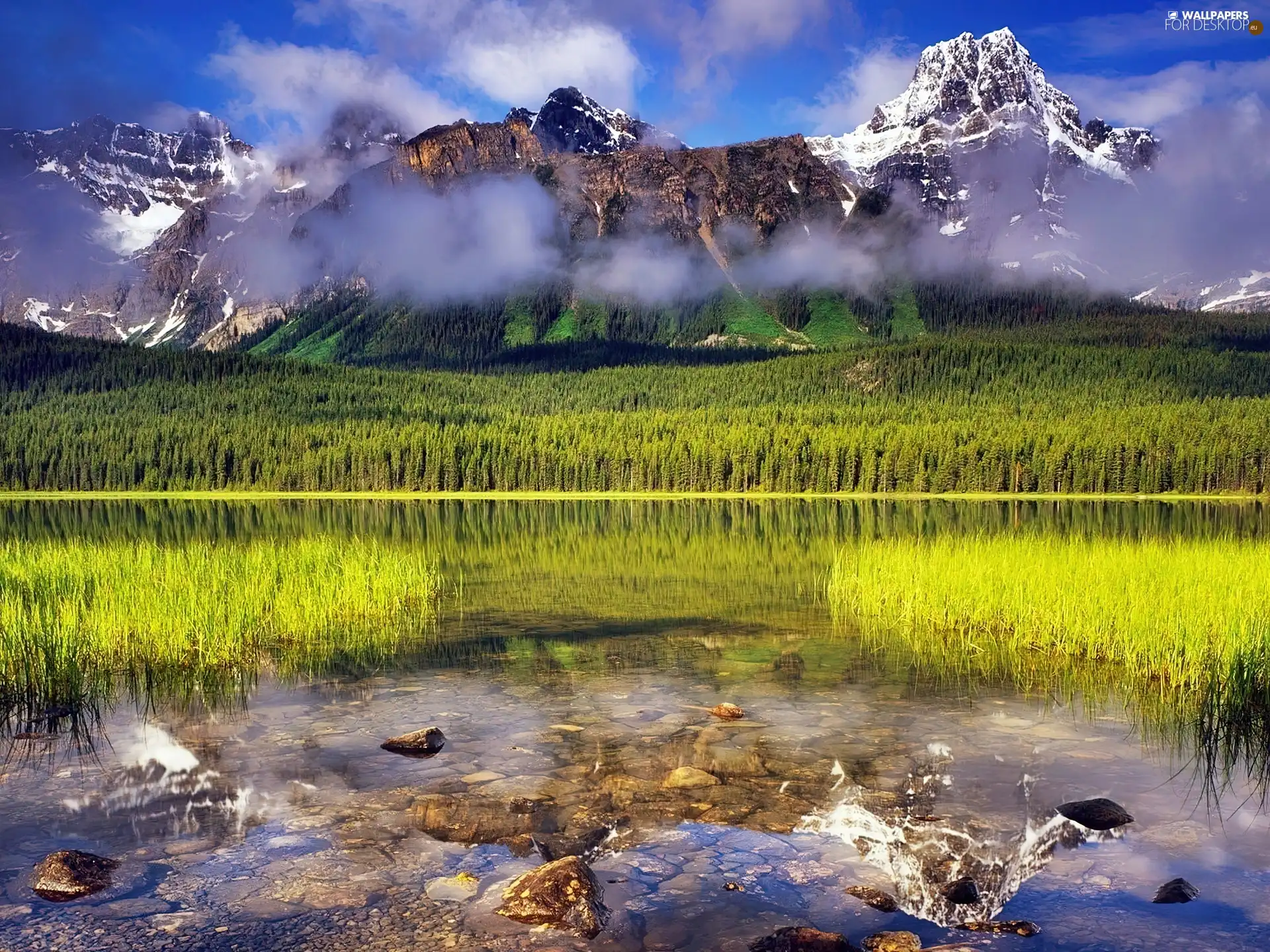 lake, Mountains, reflection, rushes