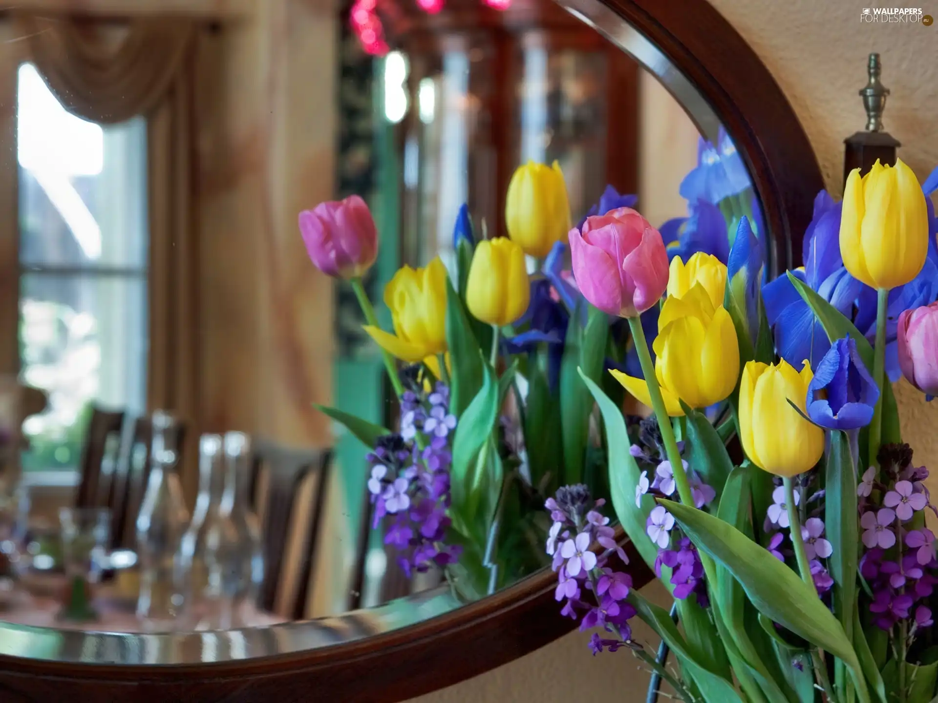 reflection, Tulips, Mirror