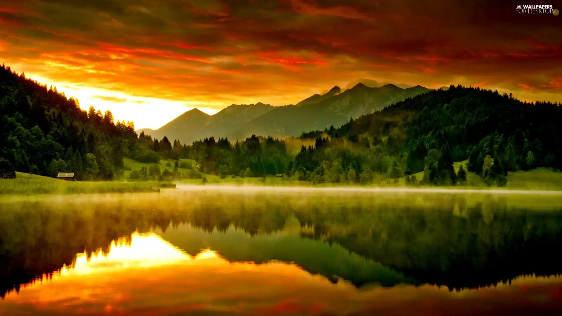 Mountains, forest, reflection, lake