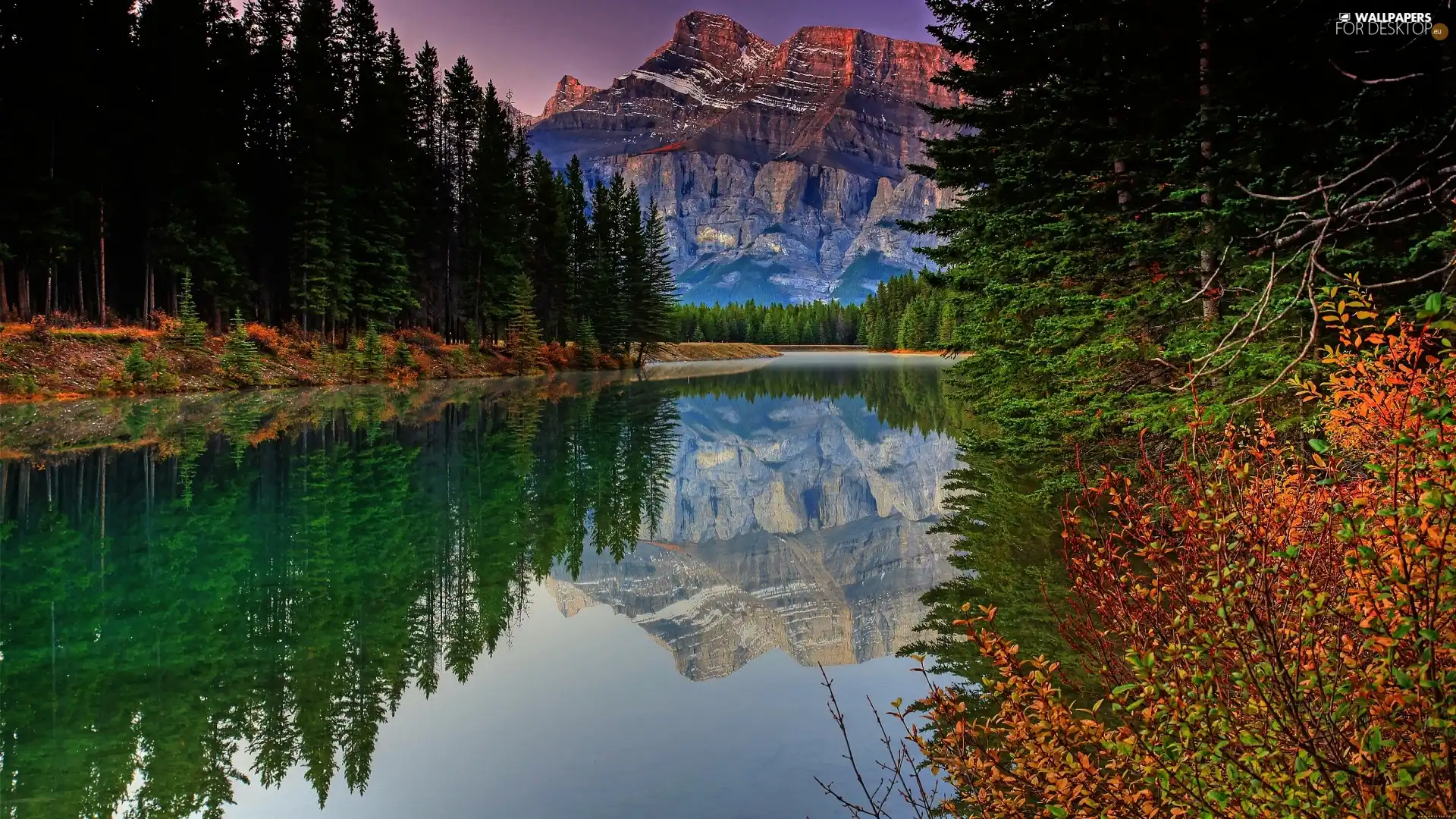 mountains, forest, reflection, lake