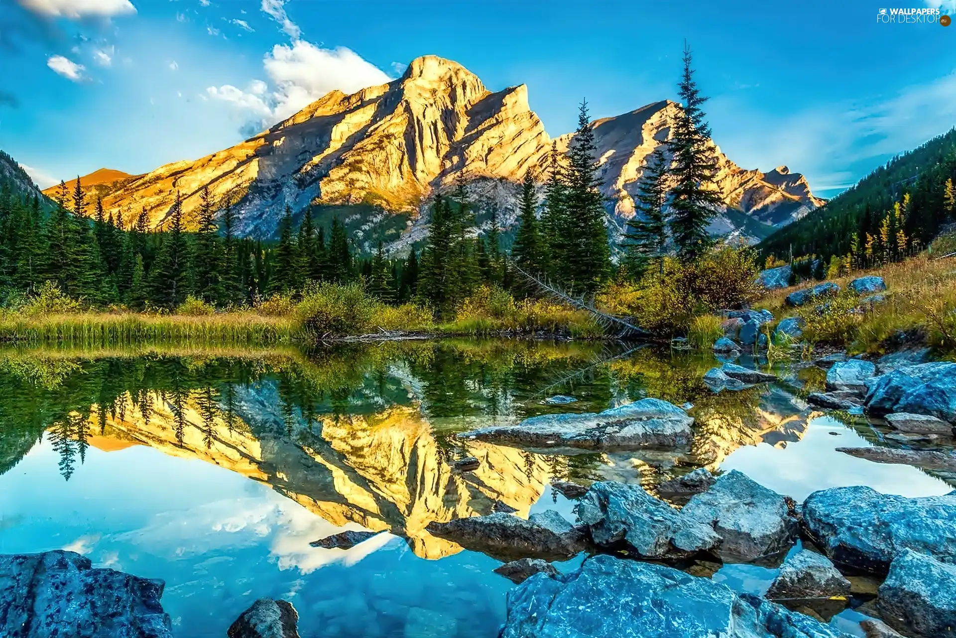 Mountains, Spruces, reflection, lake