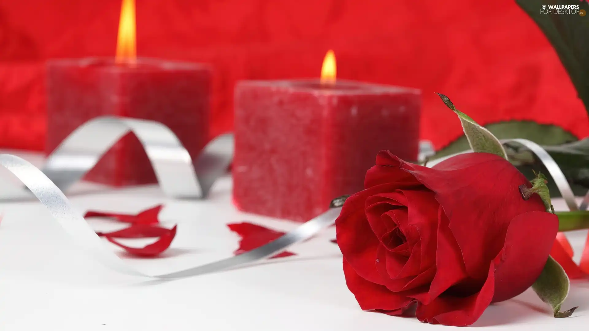 ribbon, Candles, rose, flakes, red hot
