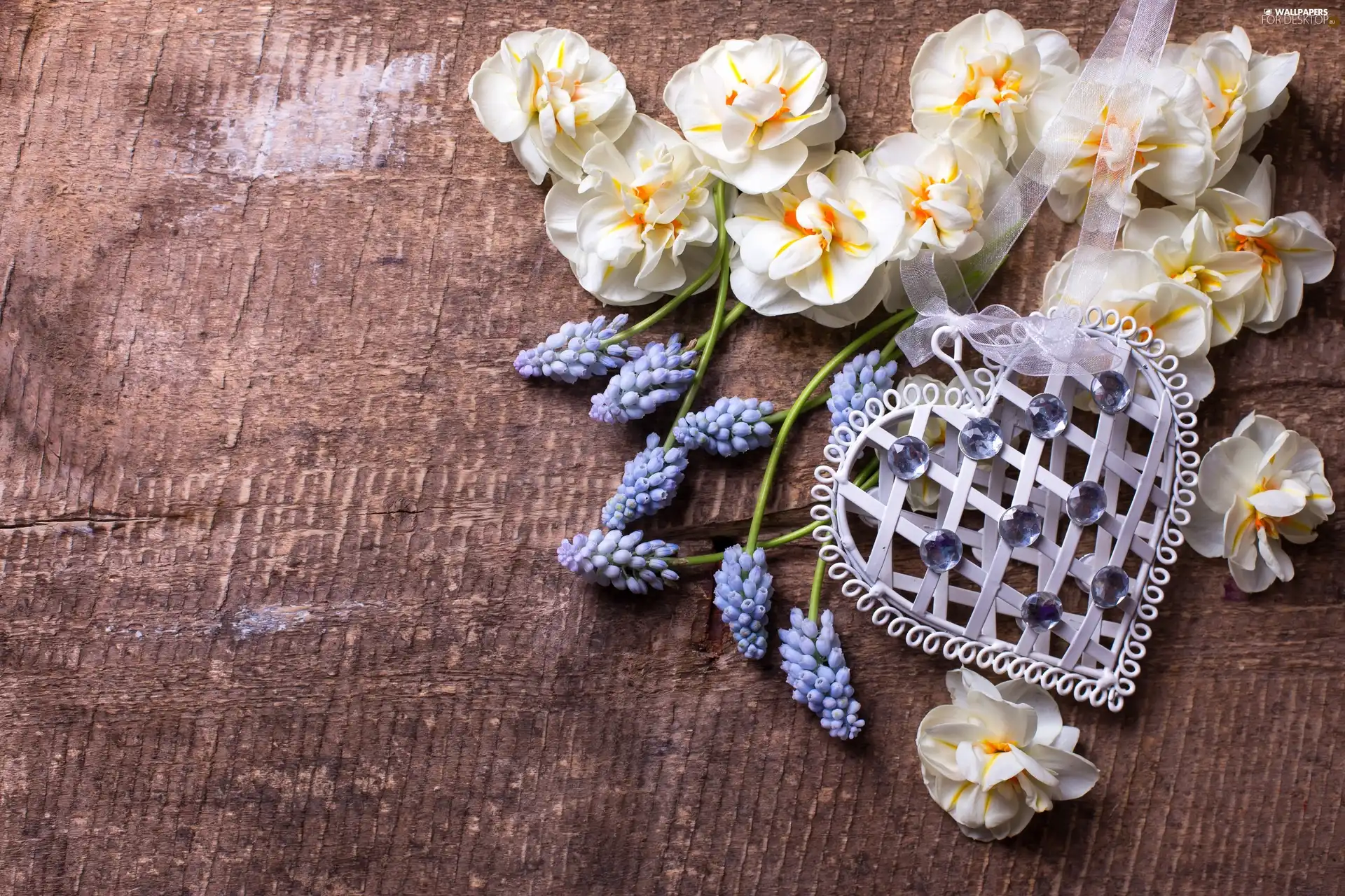 Heart, ribbon, Flowers, Muscari, White