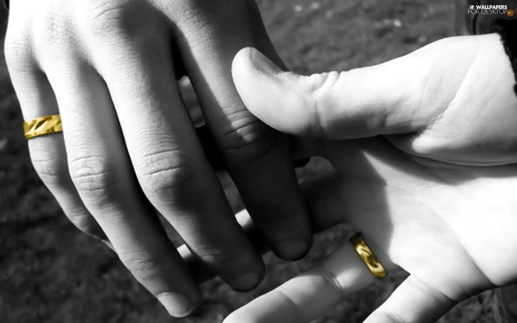 rings, hands, Golden