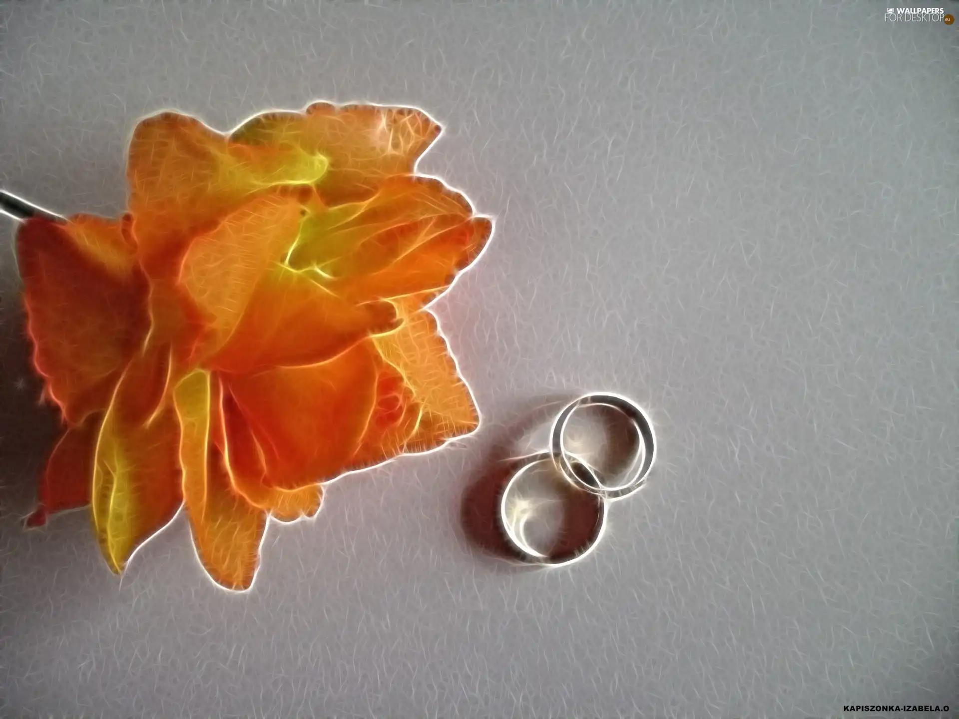 rings, Orange, rose