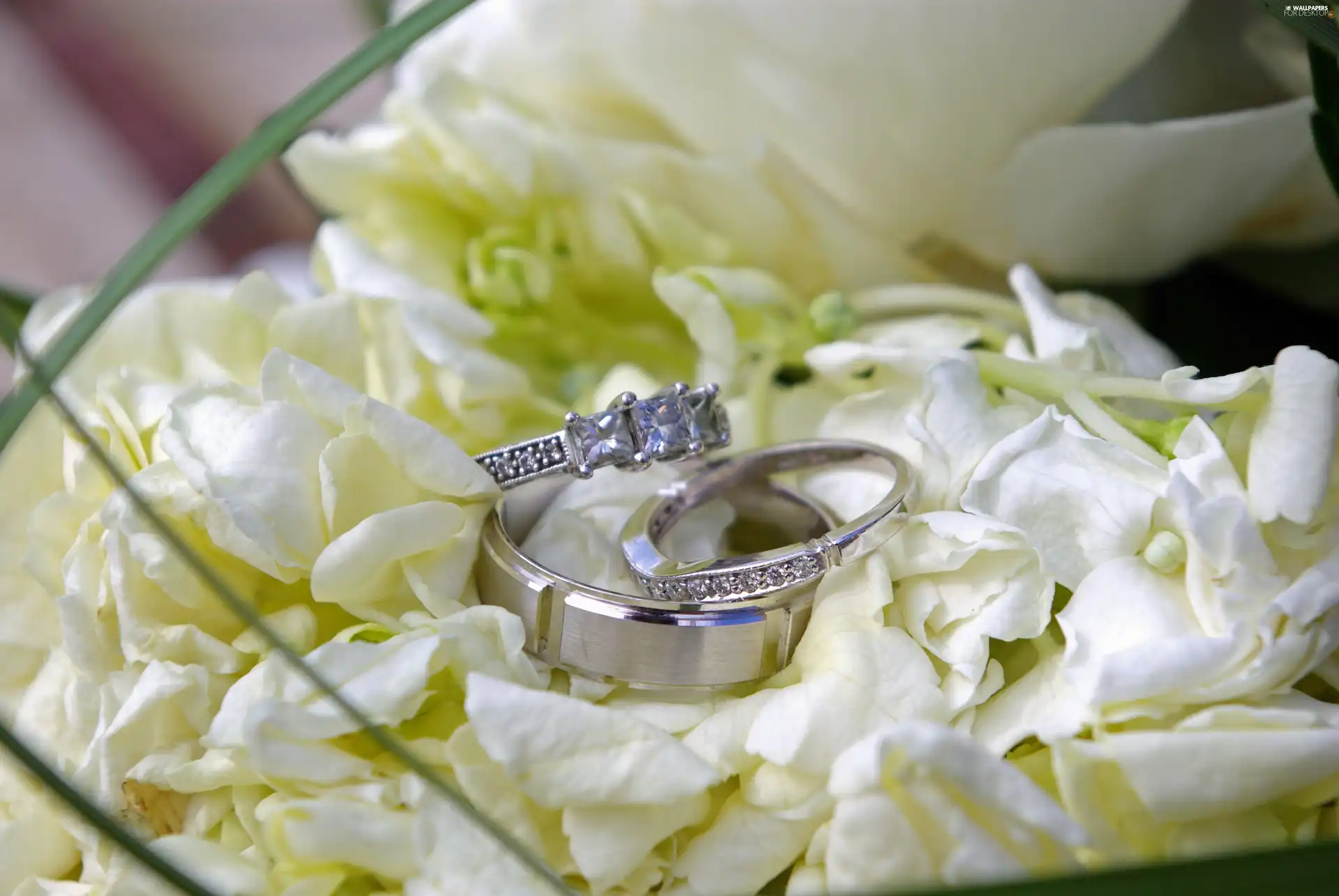 rings, flakes, rouge