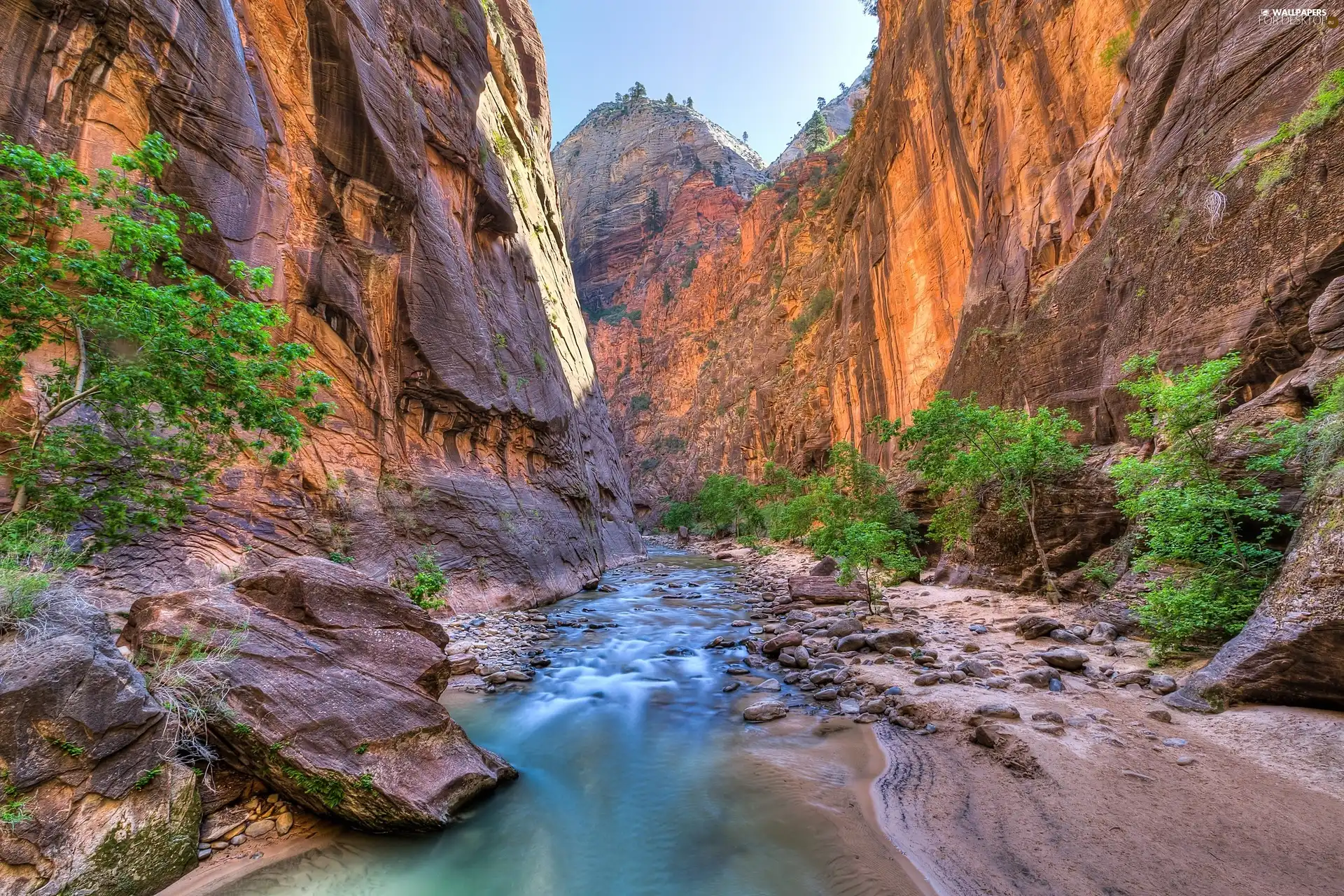 canyon, viewes, River, trees