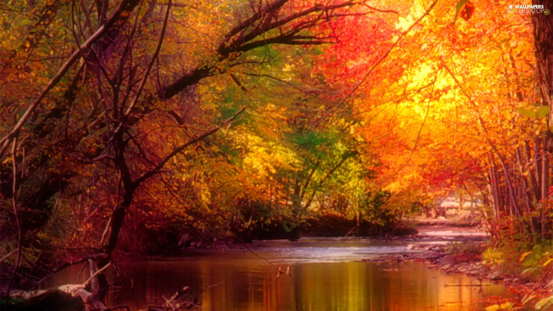 River, color, forest