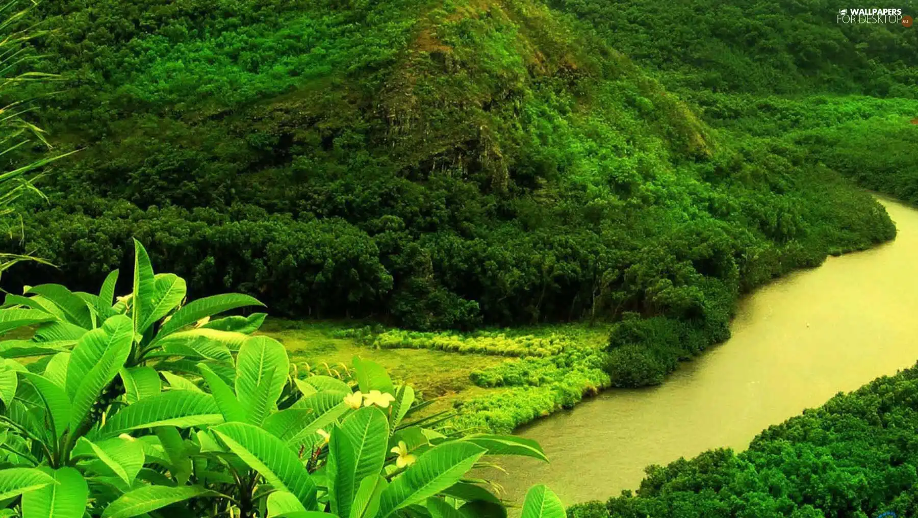 Mountains, River