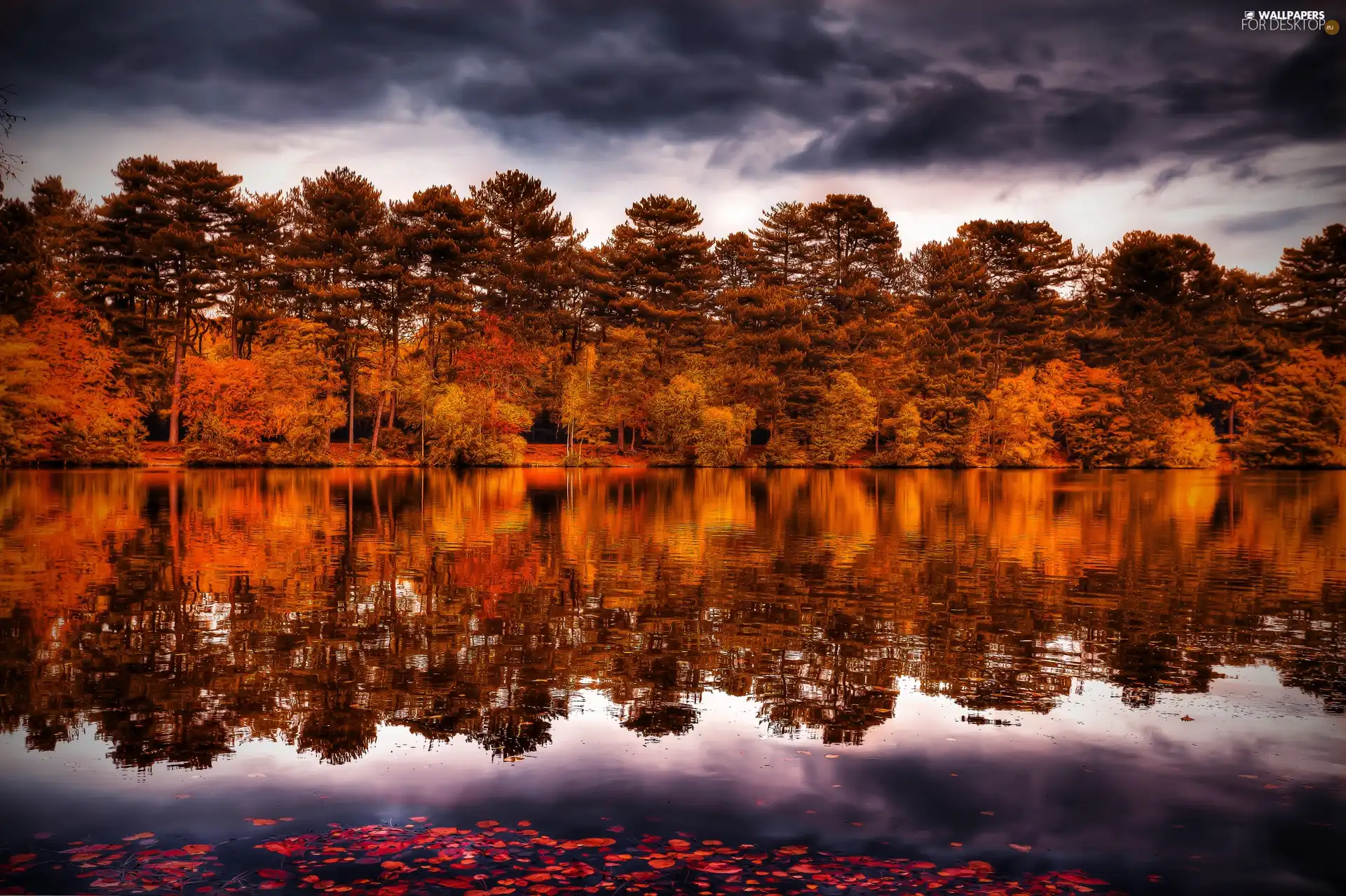 River, reflection, trees, viewes, clouds