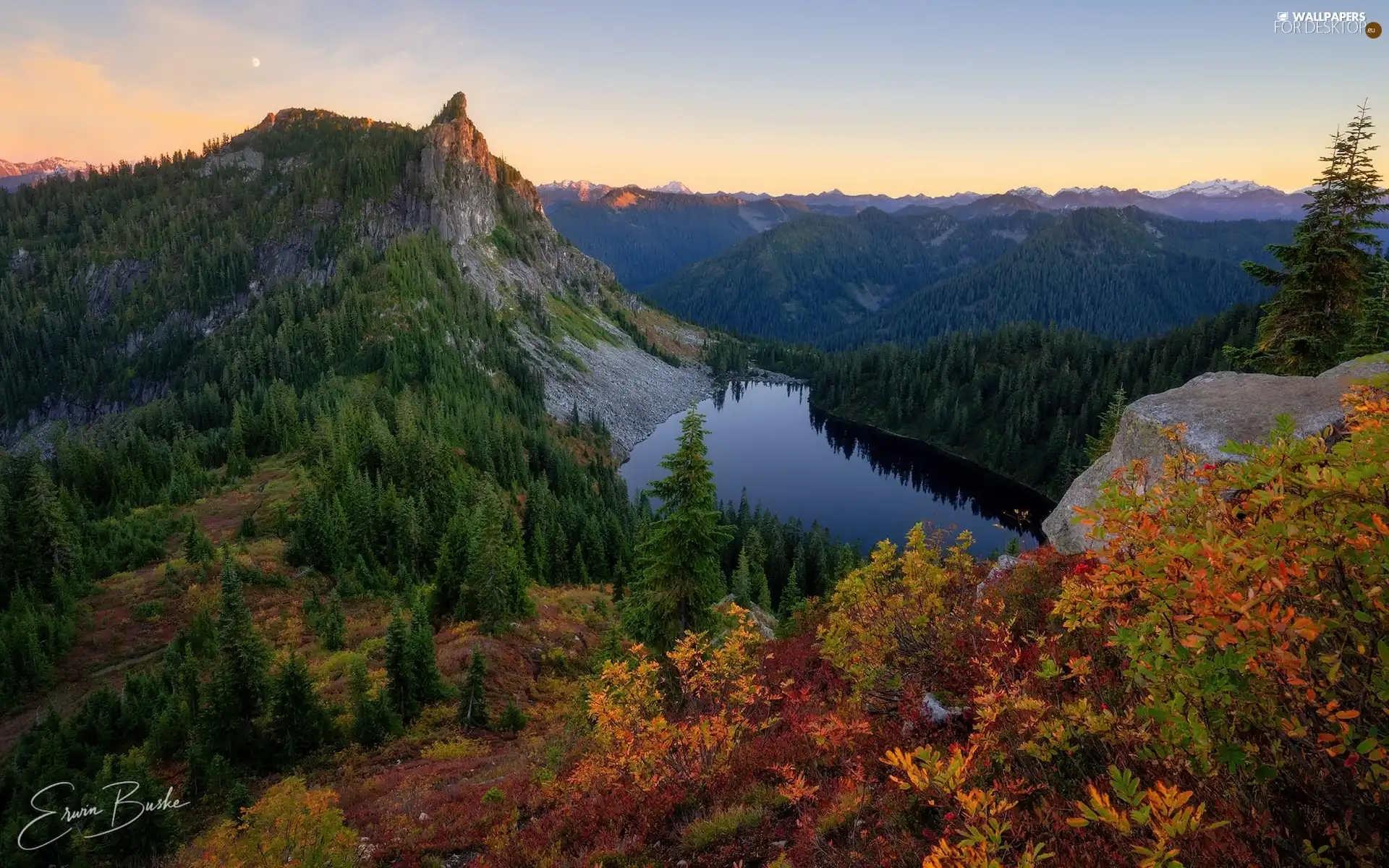 trees, lake, Coloured, rocks, Mountains, viewes, VEGETATION