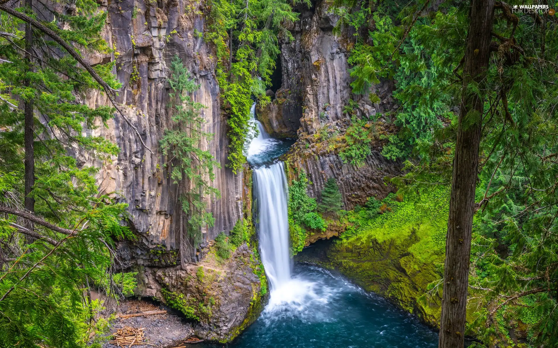 Toketee Waterfall, green ones, viewes, Oregon, Plants, forest, trees, The United States, Crater Lake National Park, rocks