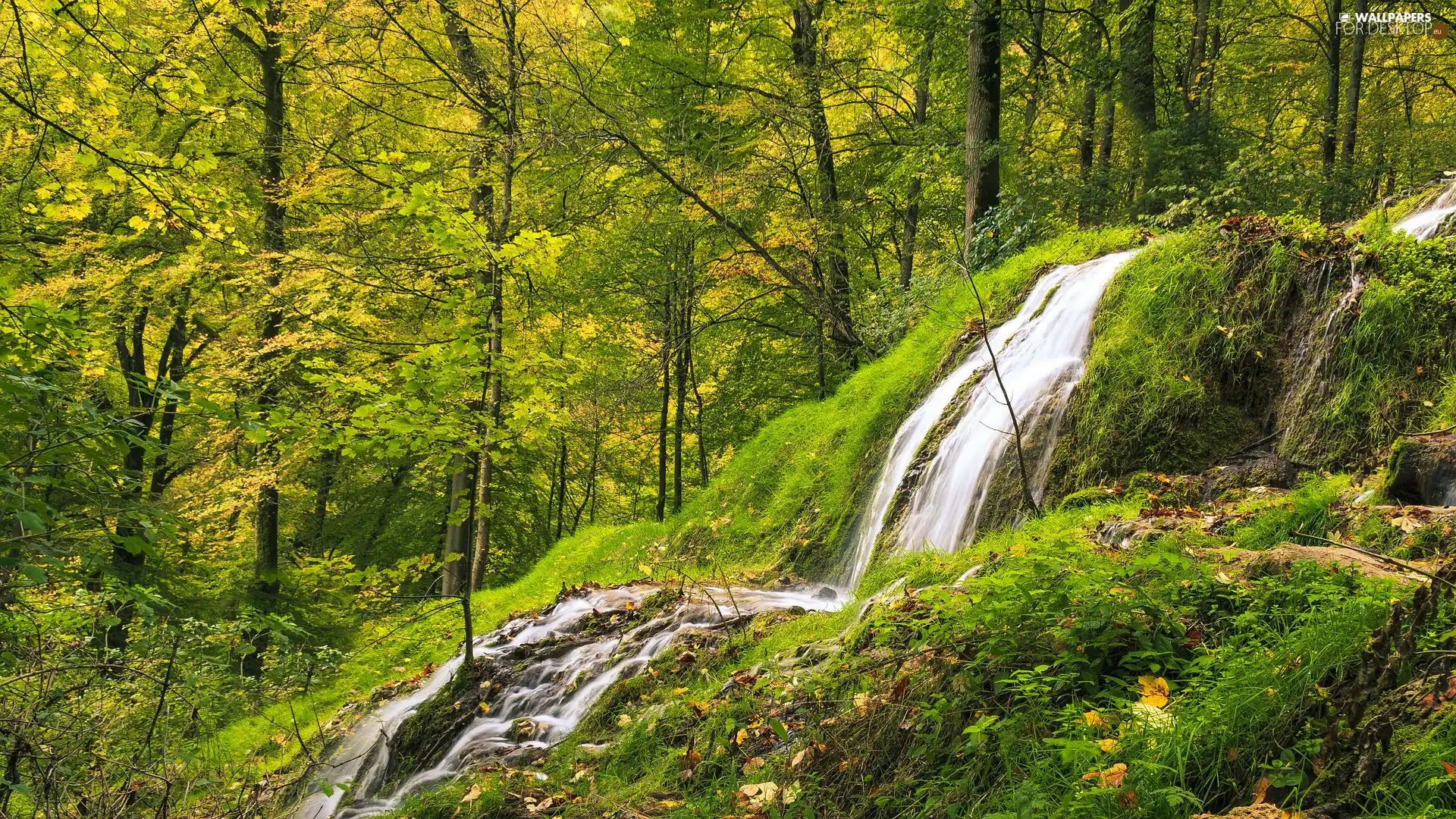 VEGETATION, rocks, forest, Green, waterfall