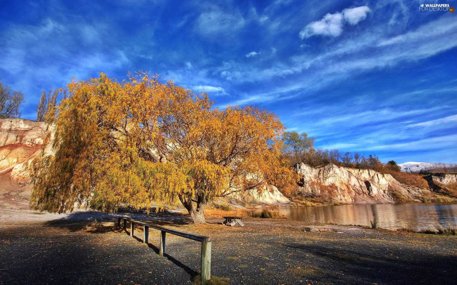 Golden, water, rocks, trees