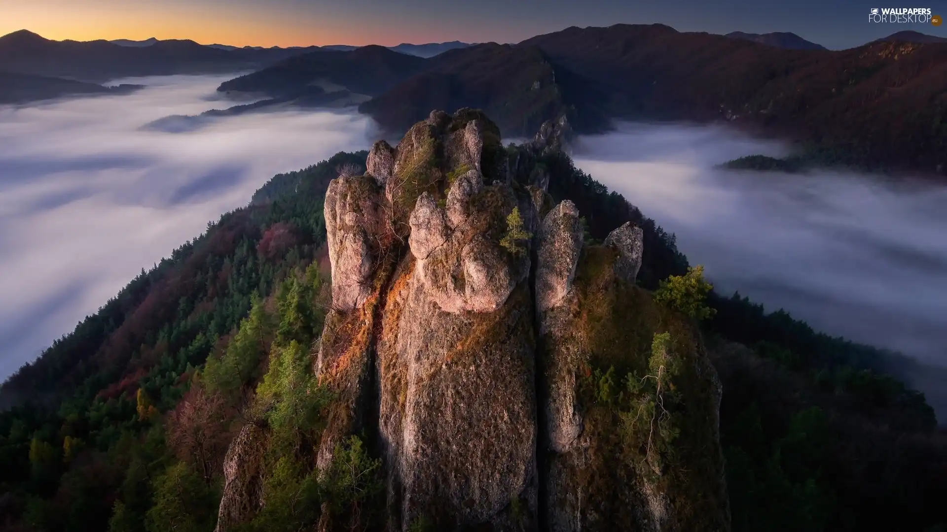 Mountains, Fog, VEGETATION, rocks