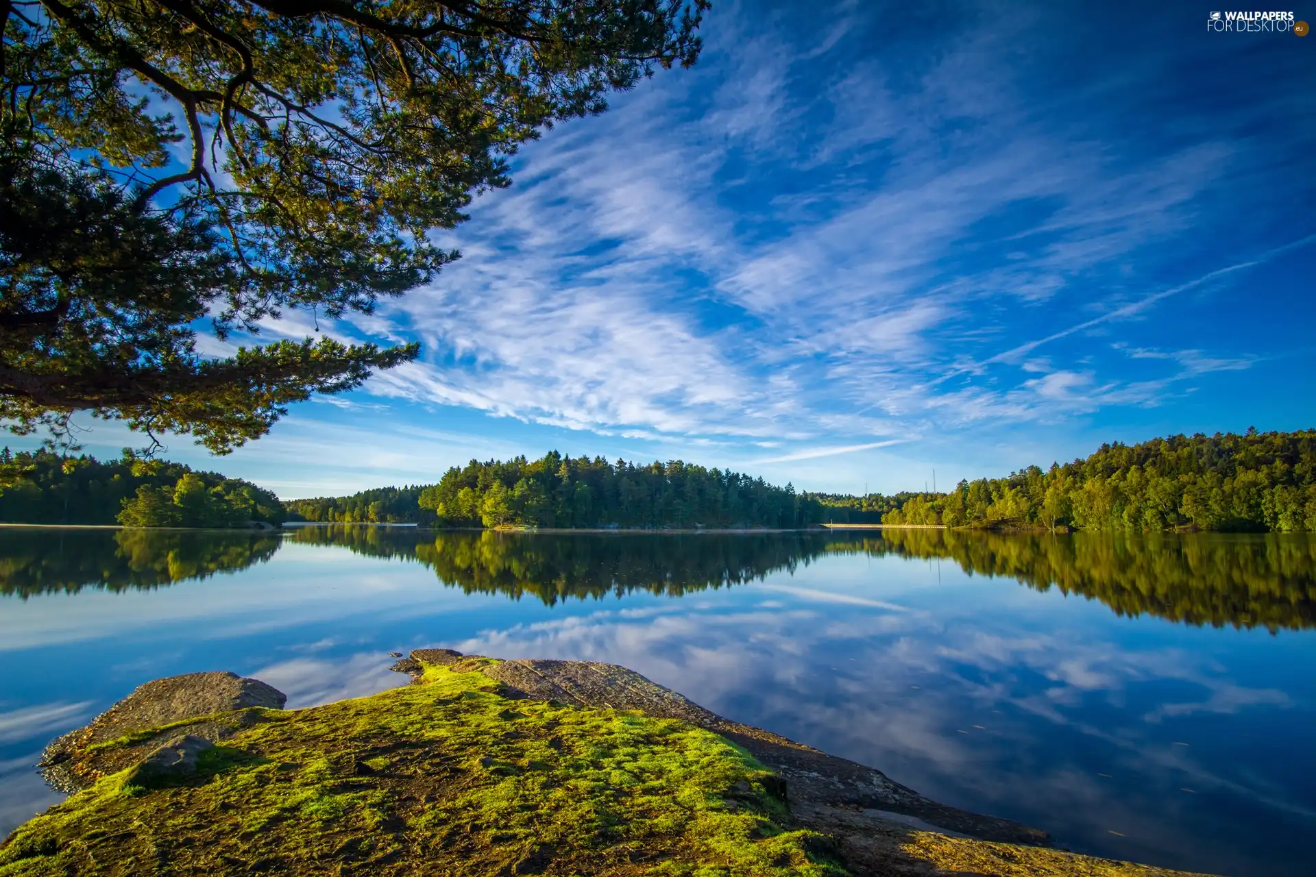 trees, Mossy, reflection, Rocks, lake, viewes, Sky