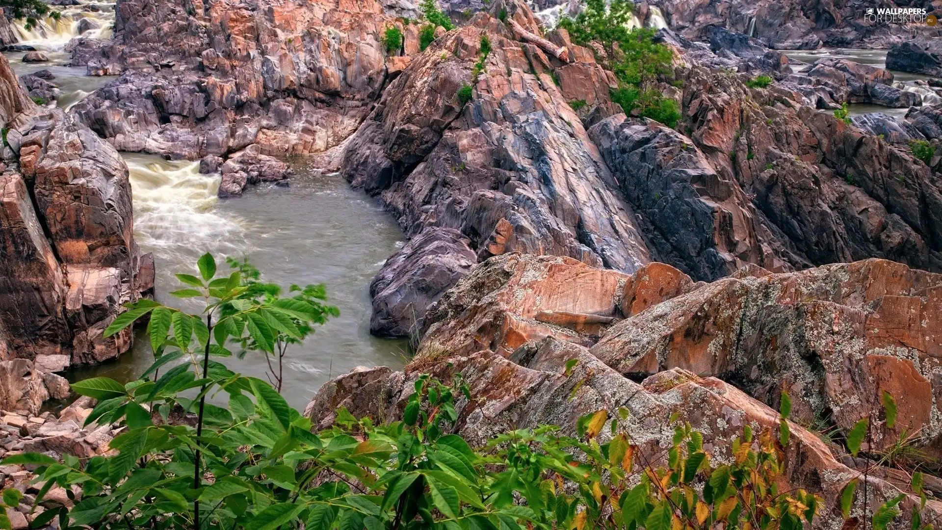 River, rocks