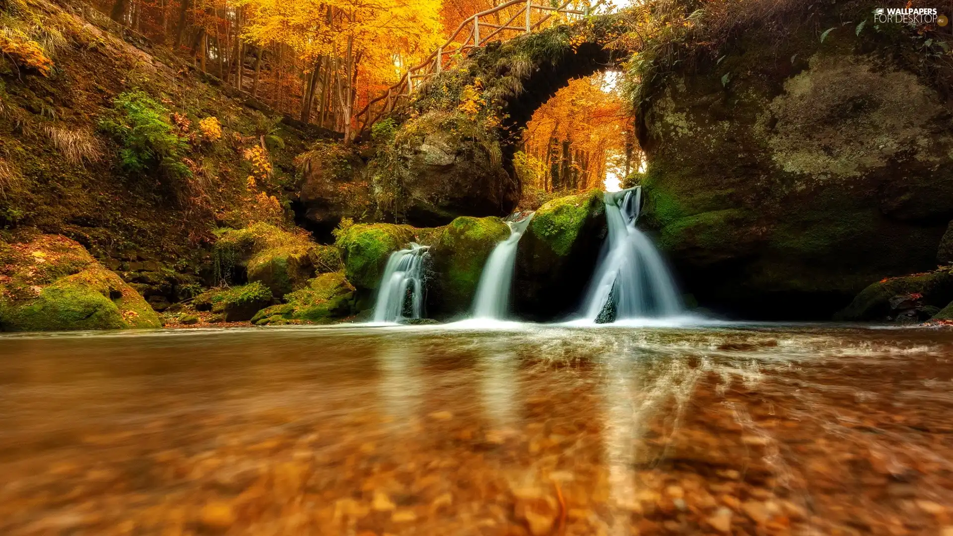 Rocks, forest, River