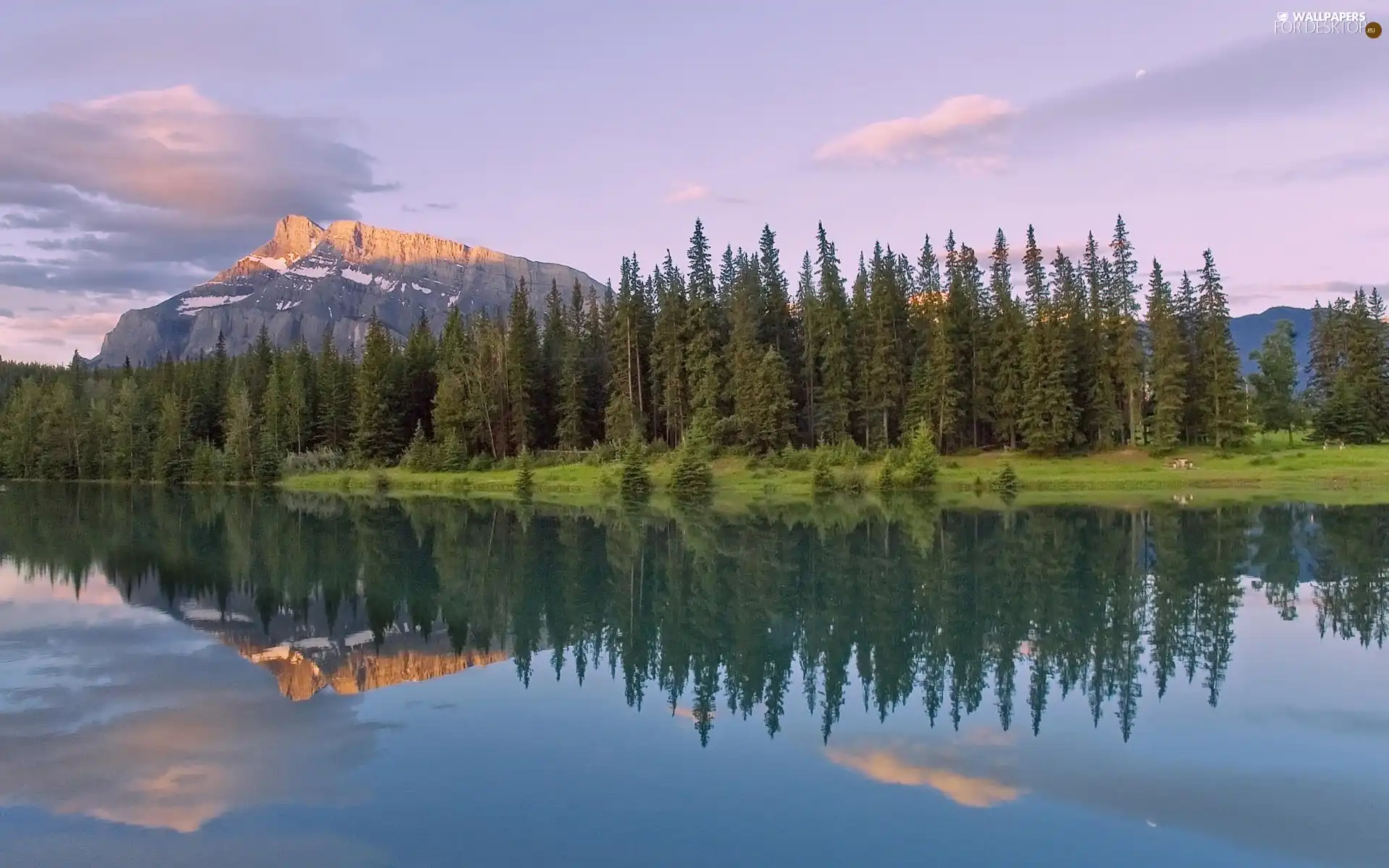 River, Mountains, rocks, forest