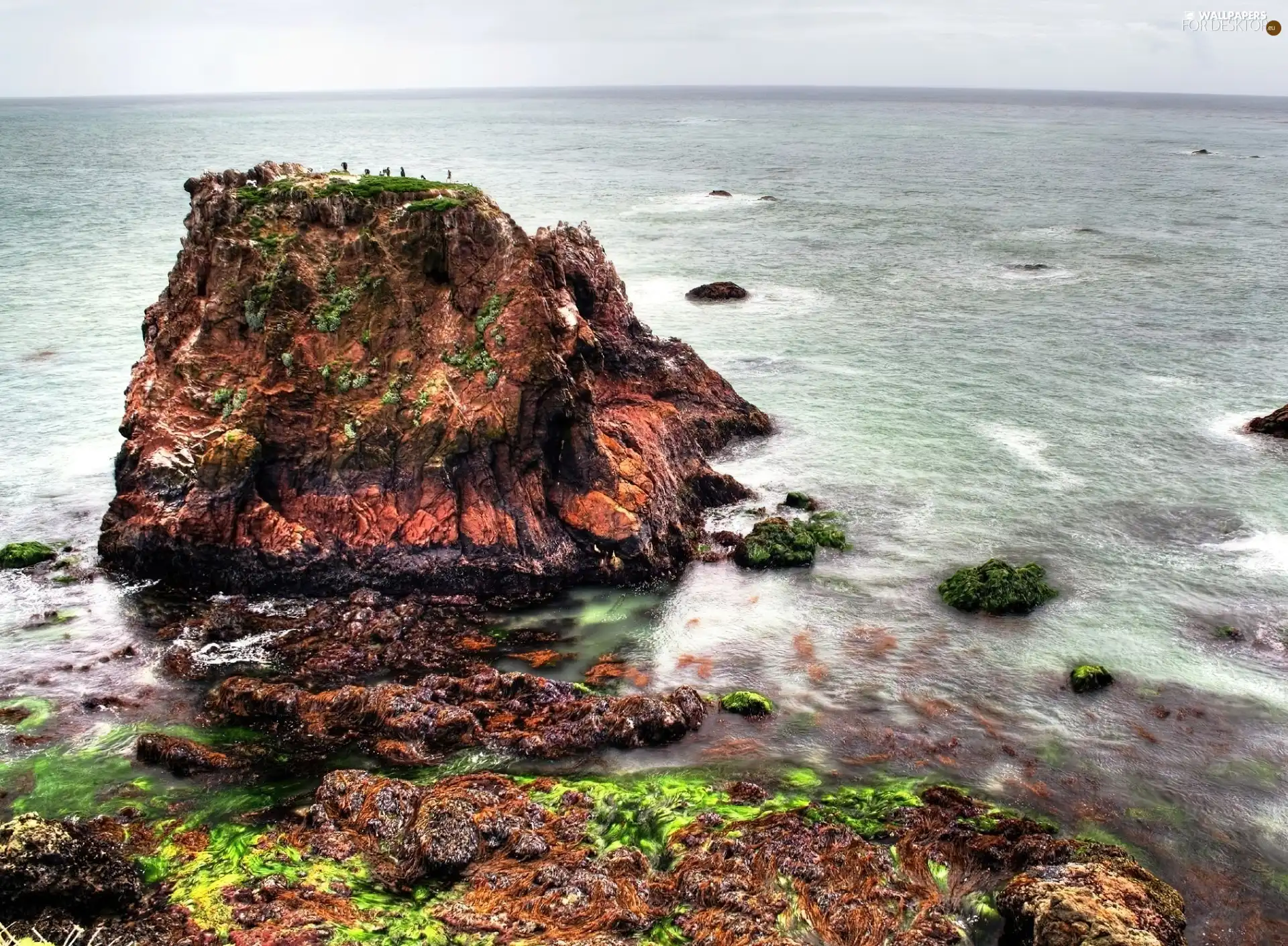 sea, Rocks