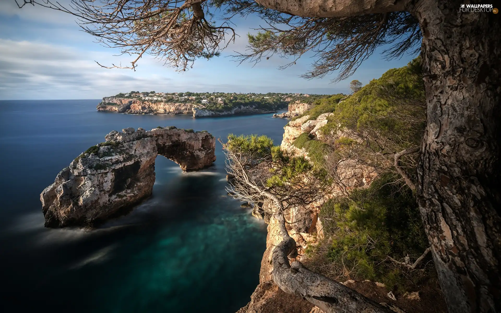 sea, trees, Town, rocks