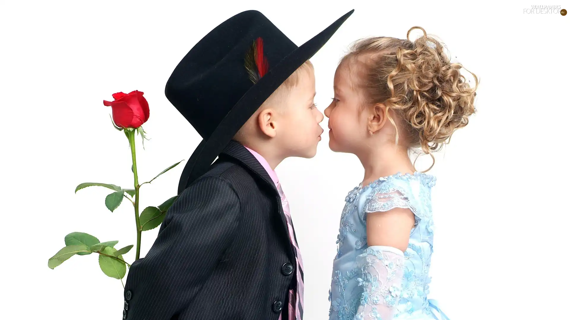 rose, girl, boy
