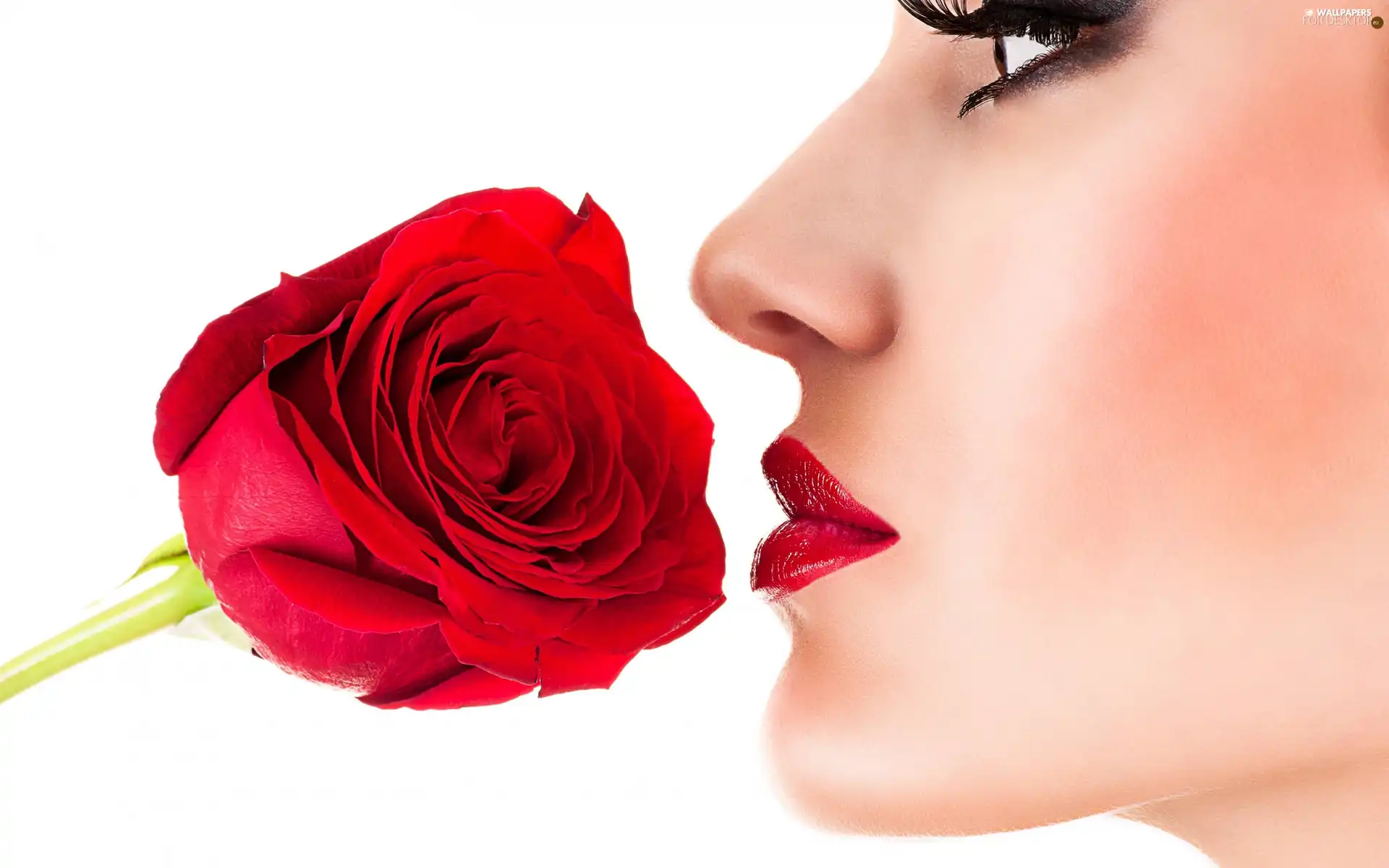 Rose, Women, lips