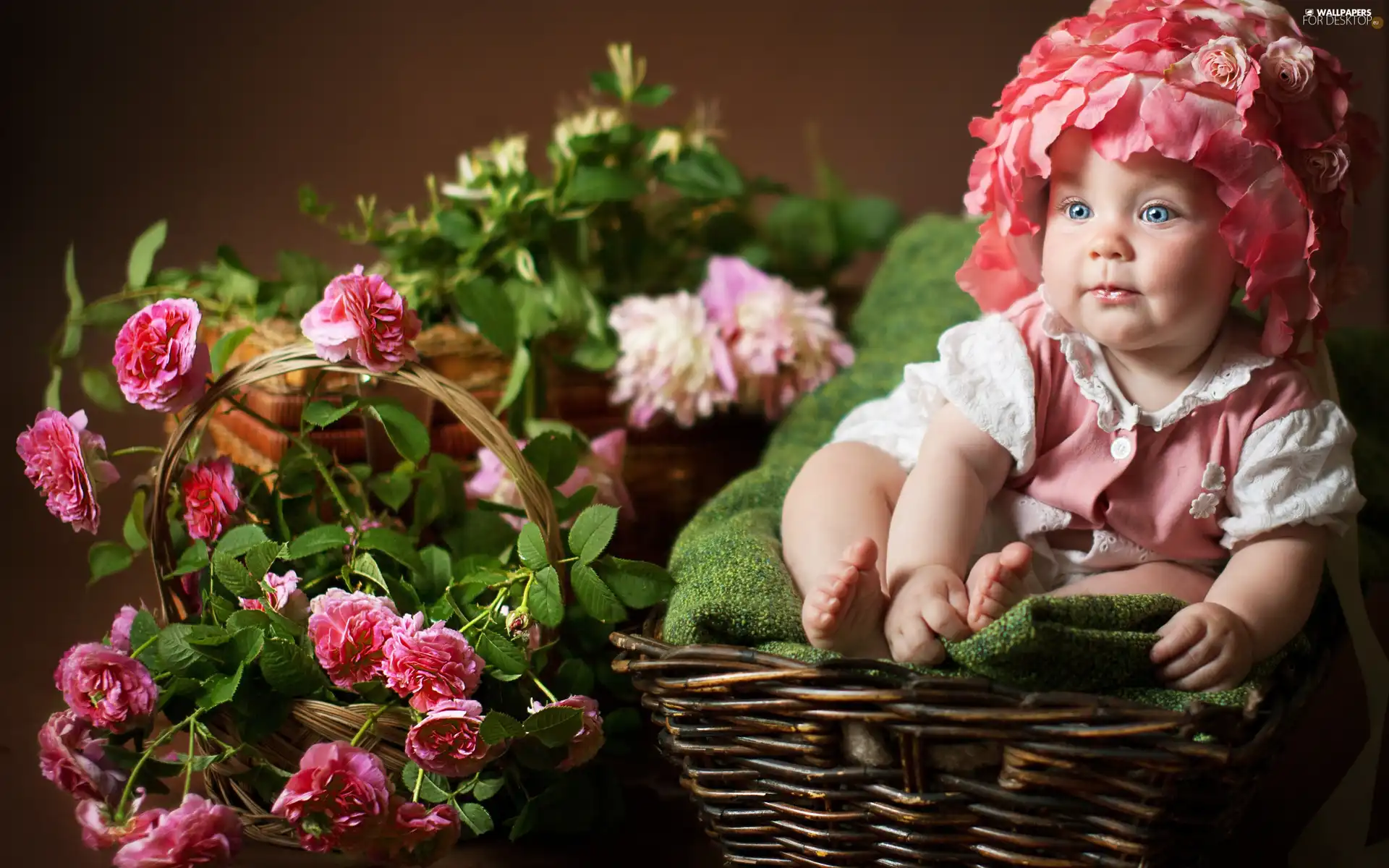 roses, Kid, Baskets