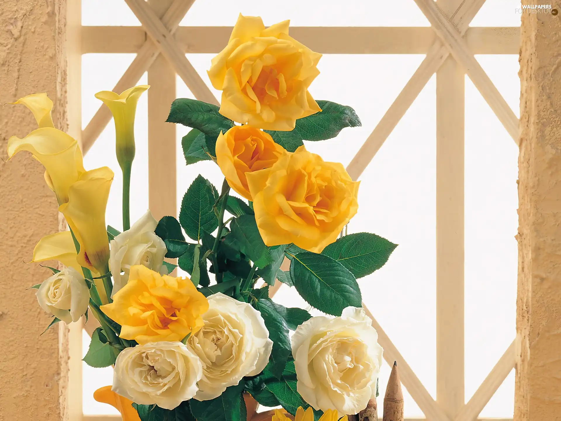 roses, Yellow, beige