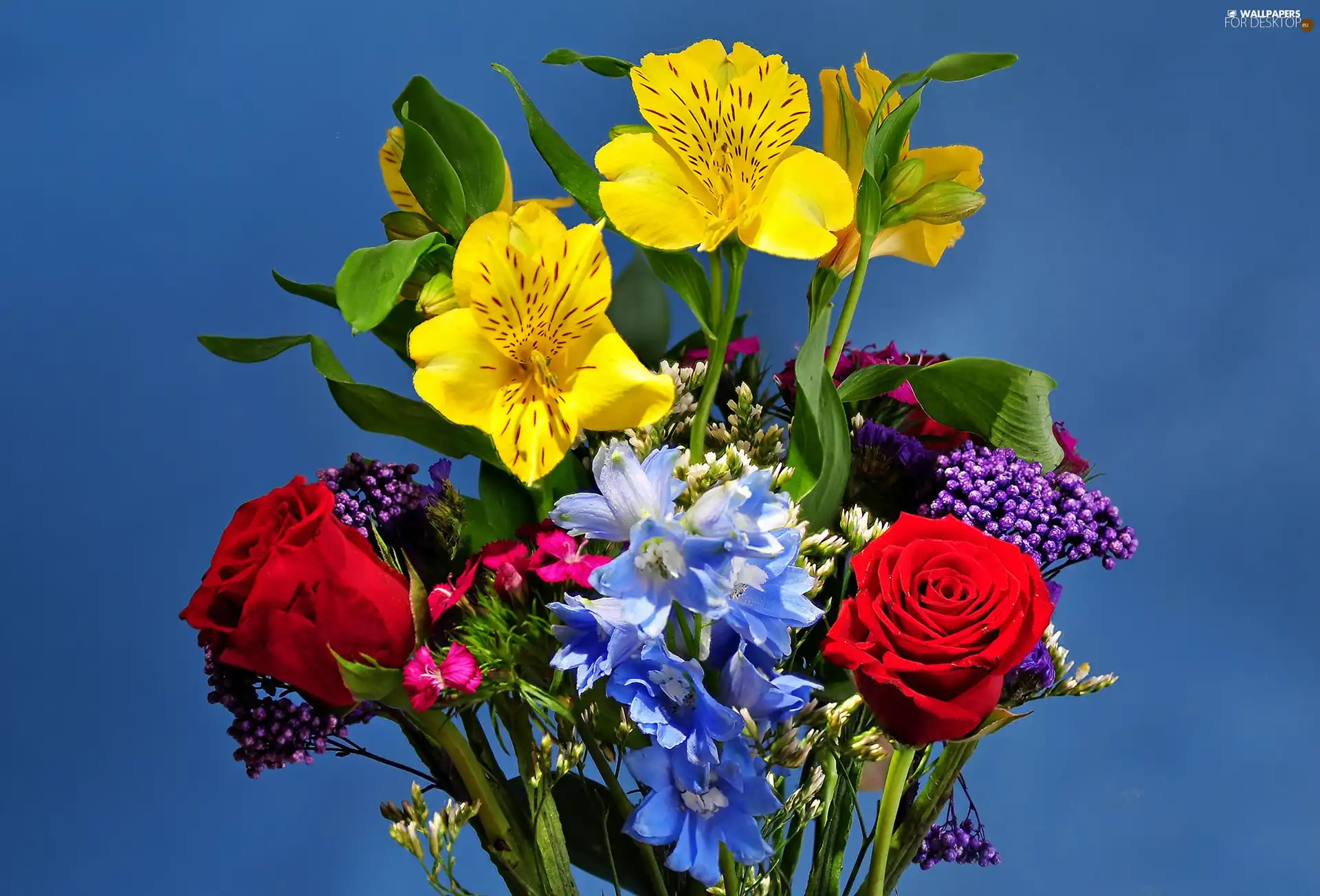 bouquet, Alstroemeria, roses, flowers