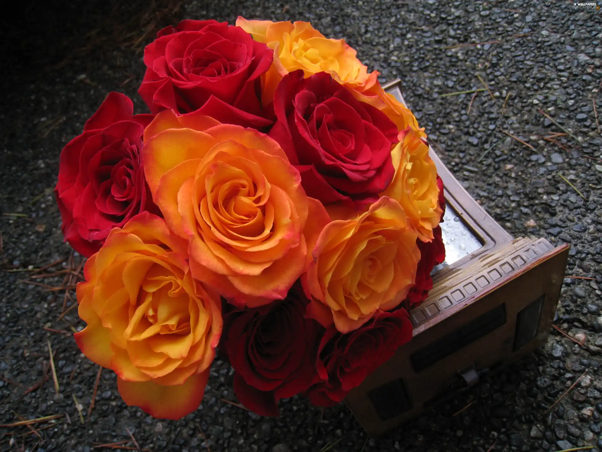 roses, Wooden, box