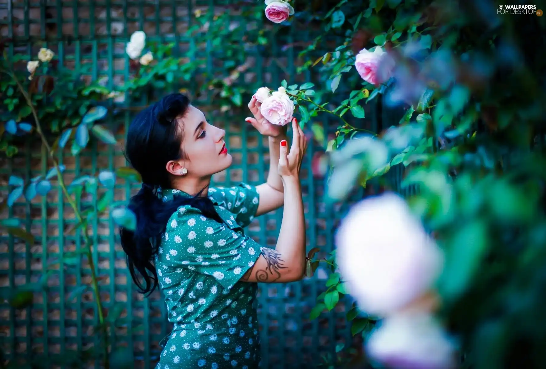 roses, Women, brunette
