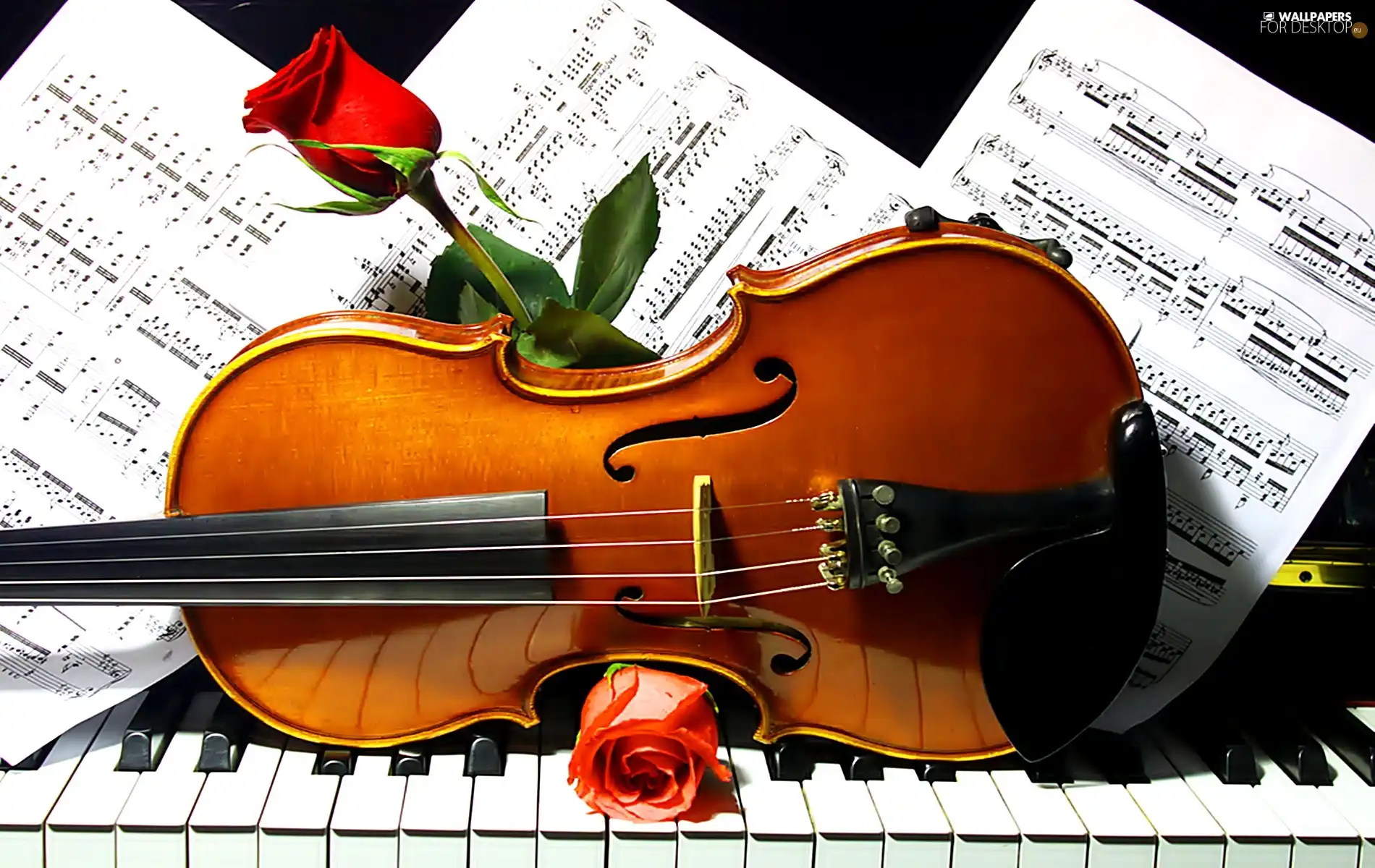 1900x1200px Piano and Violin Wallpaper - WallpaperSafari